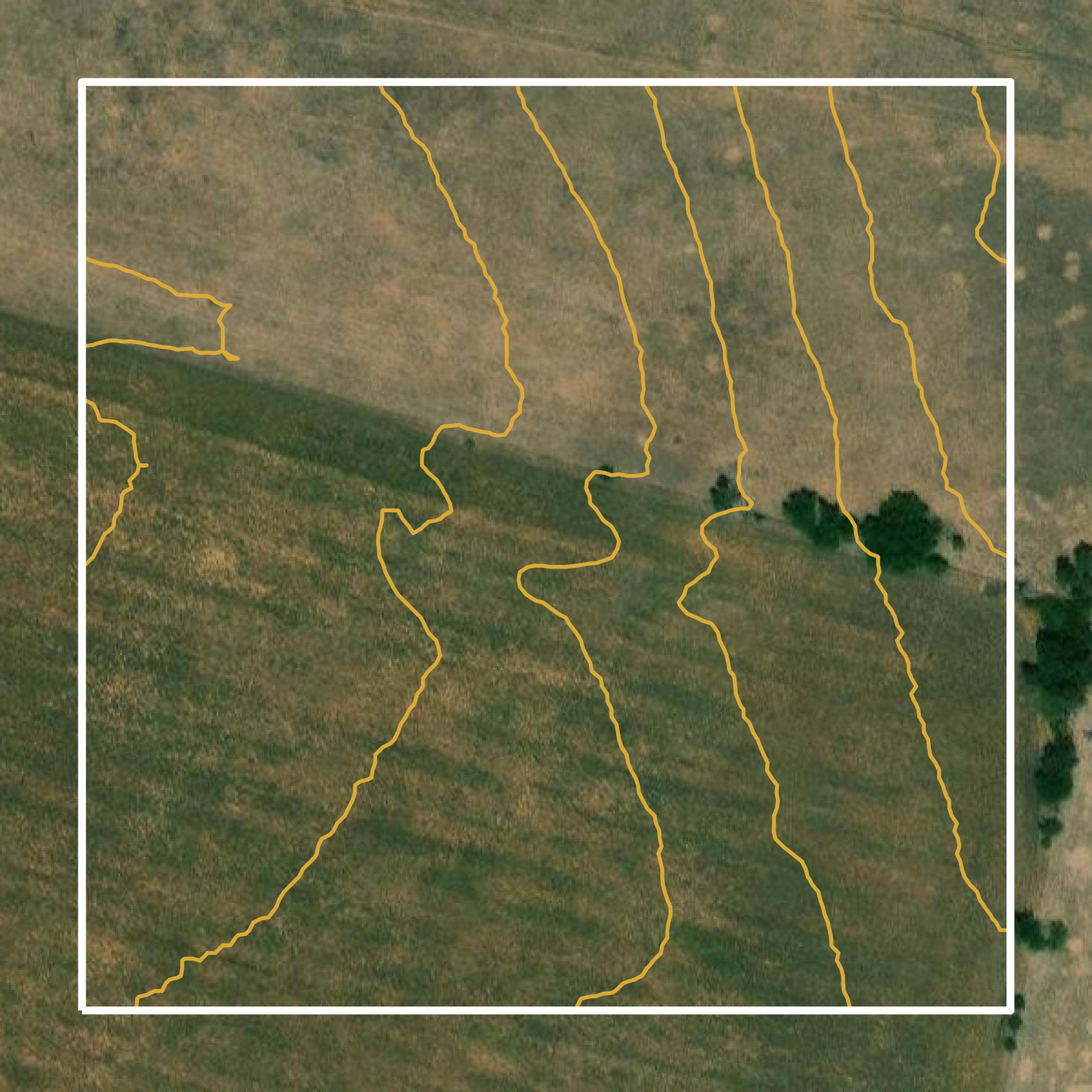 This image shows a contour map in Coryell County created using GIS data in Equator.