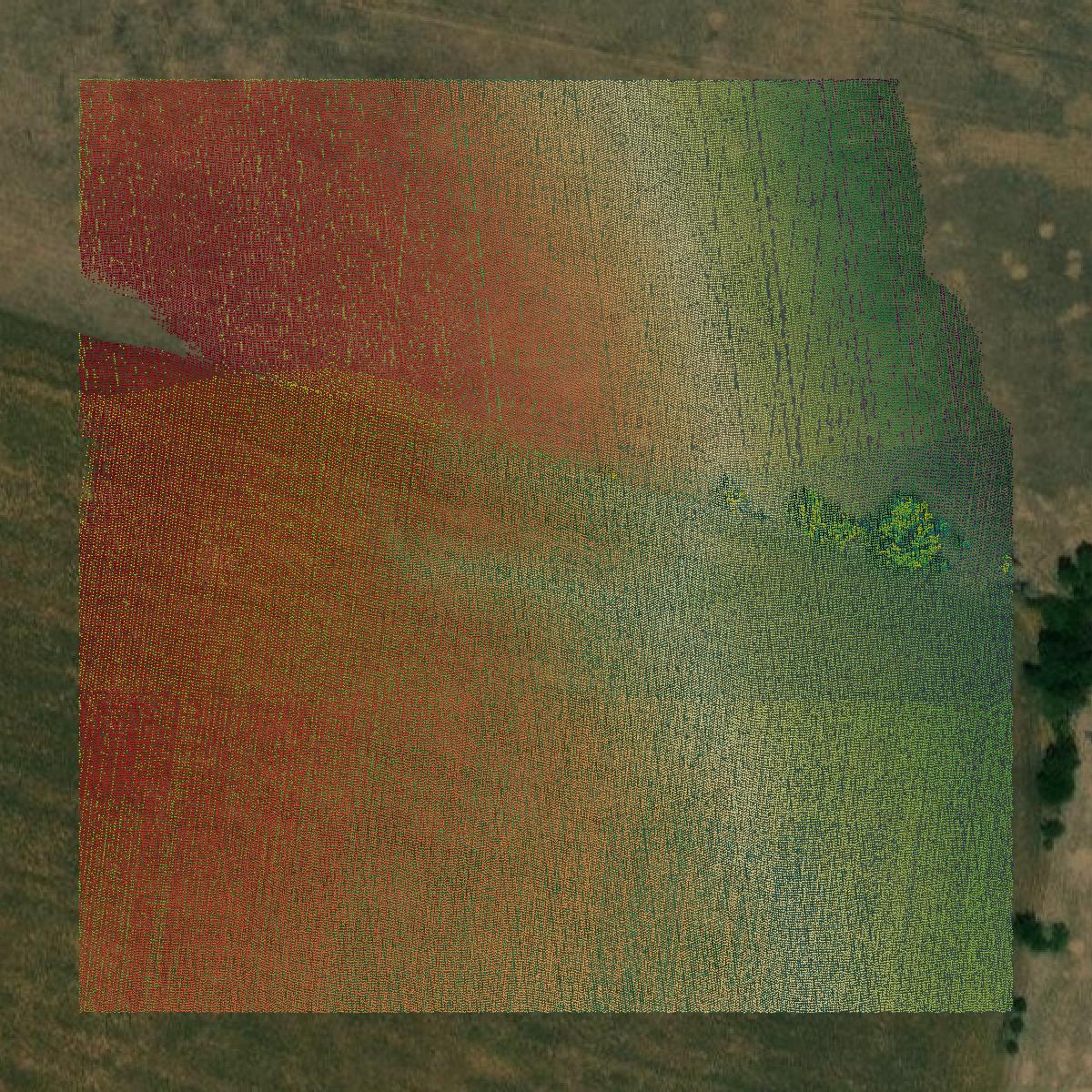 This image shows a LiDAR point cloud in Coryell County created using GIS data in Equator.