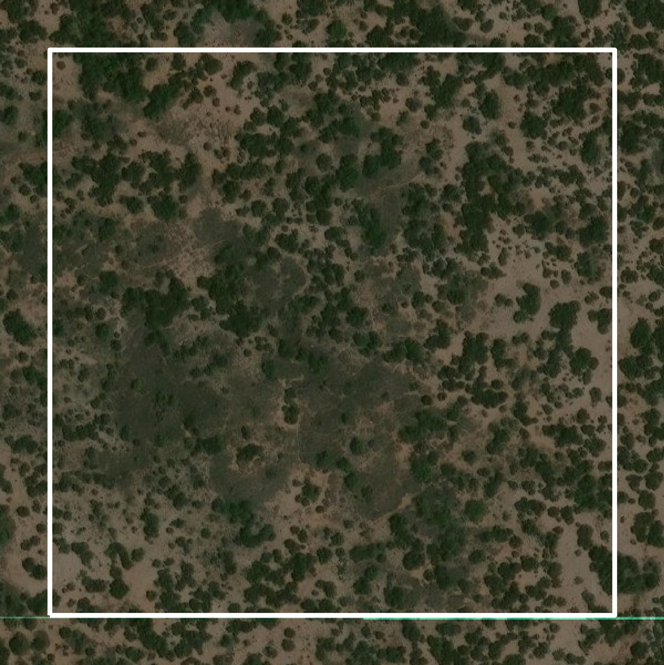 This image shows parcel and building data in Cottle County created using GIS data in Equator.