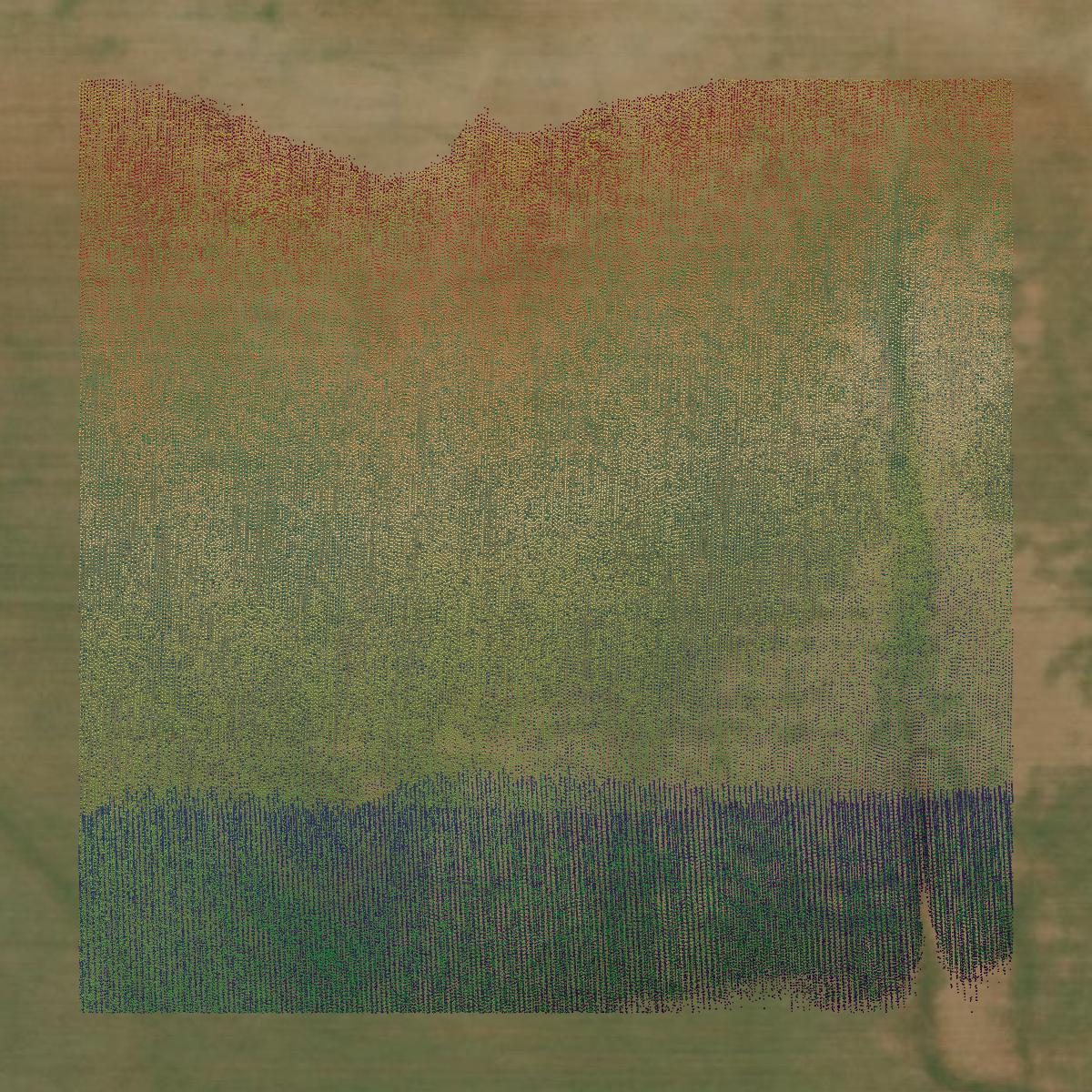 This image shows a LiDAR point cloud in Cottle County created using GIS data in Equator.