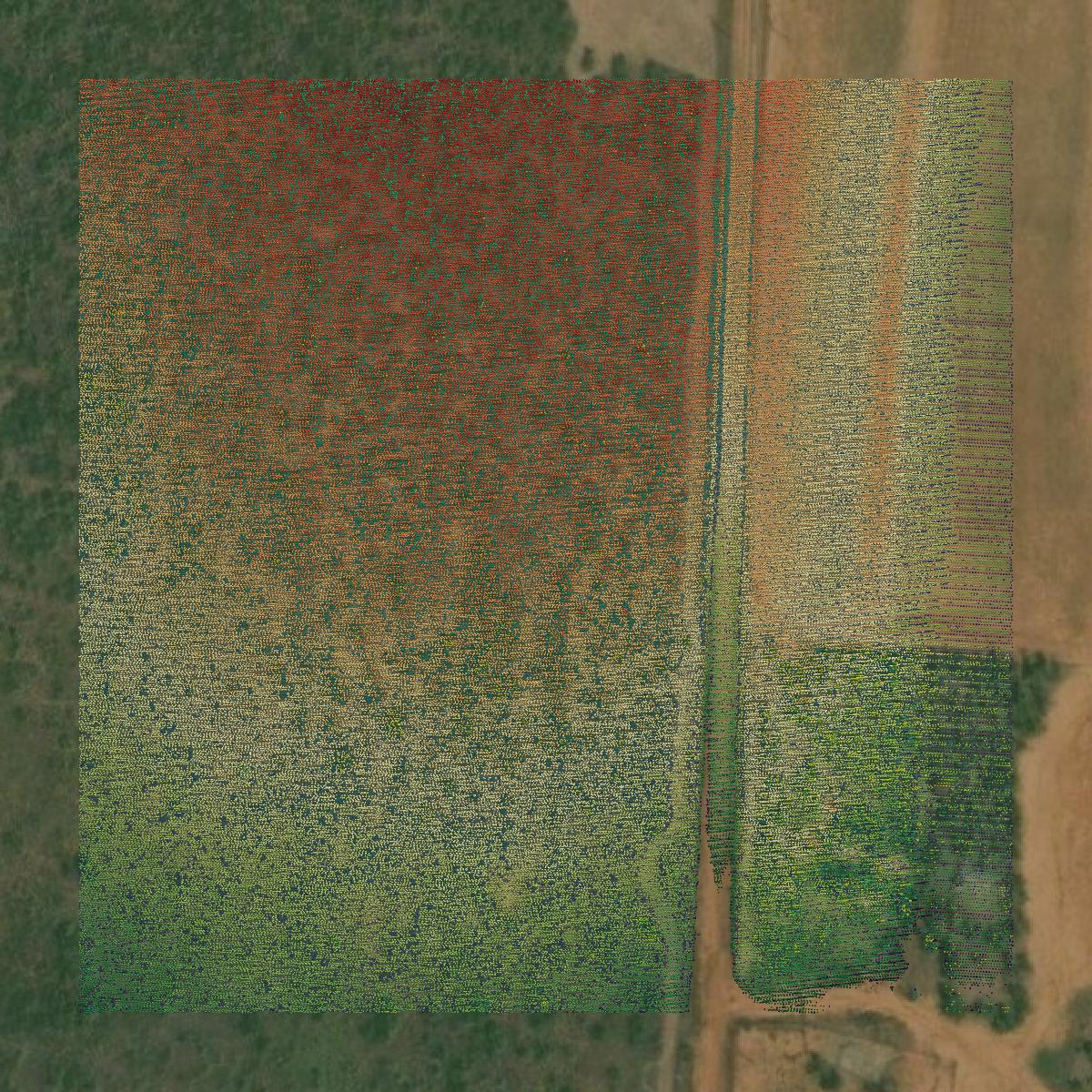 This image shows a LiDAR point cloud in Cottle County created using GIS data in Equator.