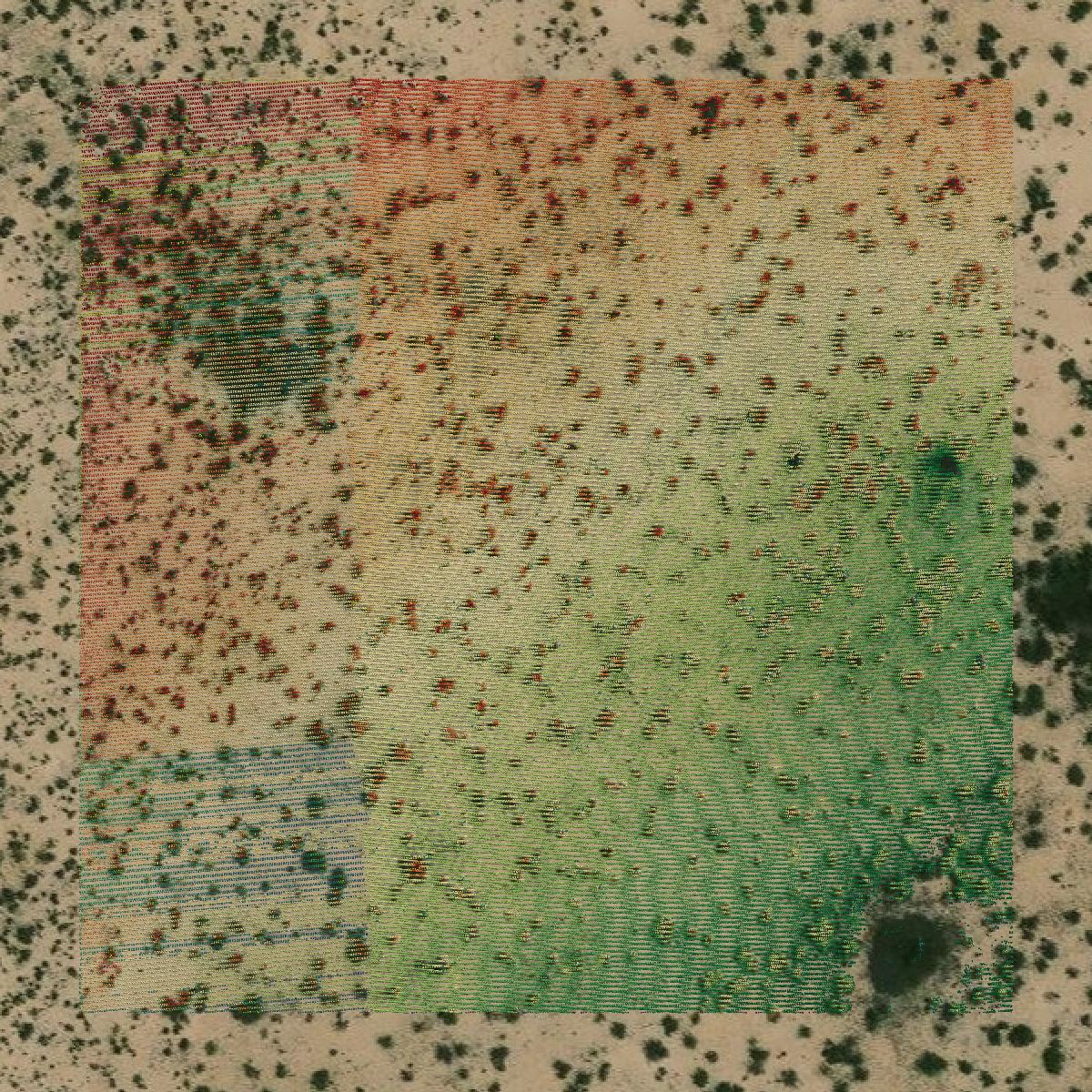 This image shows a LiDAR point cloud in Crane County created using GIS data in Equator.