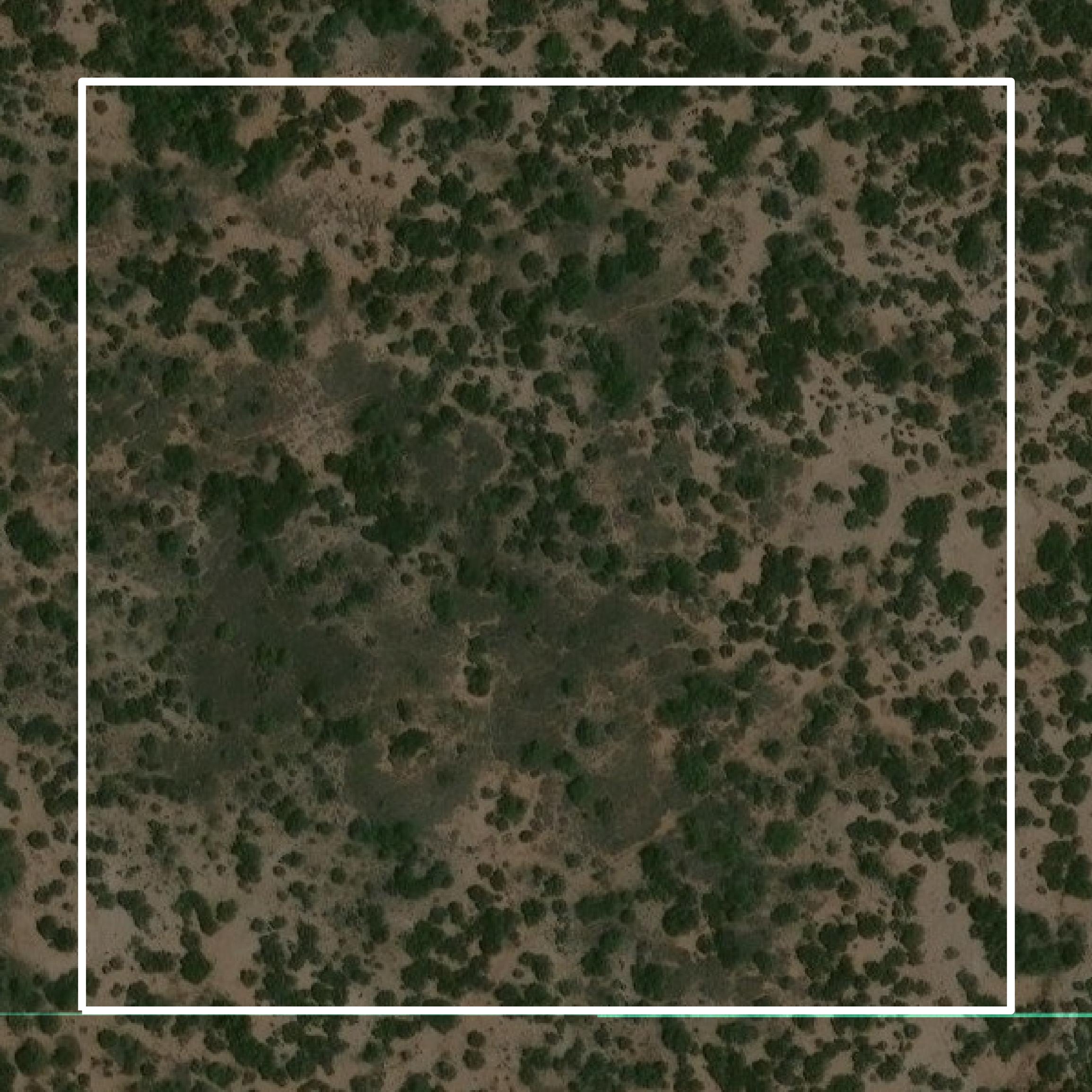 This image shows parcel and building data in Crockett County created using GIS data in Equator.