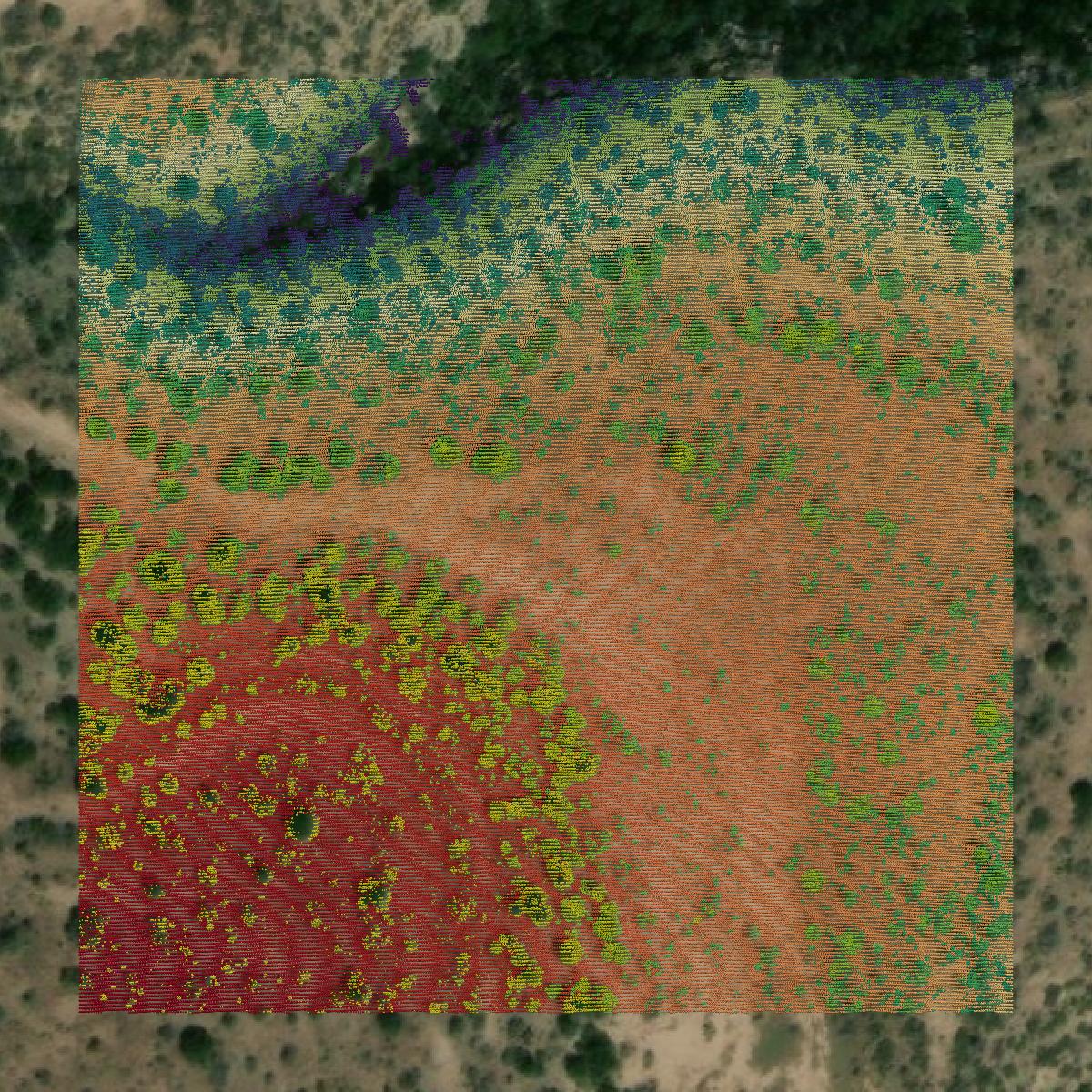 This image shows a LiDAR point cloud in Crockett County created using GIS data in Equator.
