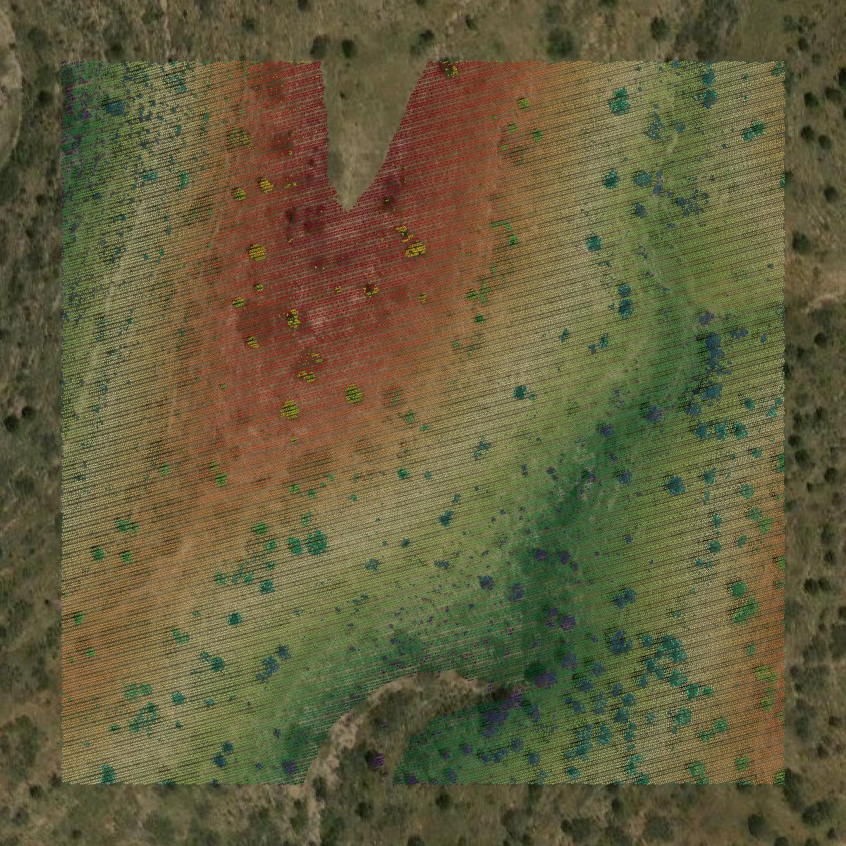 This image shows a LiDAR point cloud in Culberson County created using GIS data in Equator.