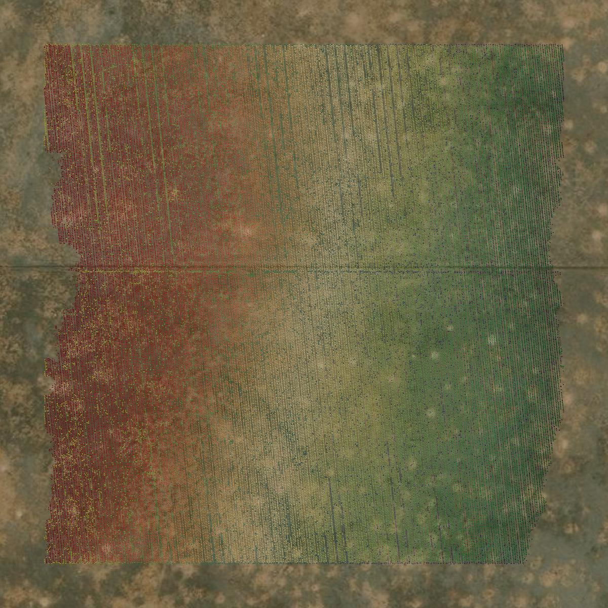 This image shows a LiDAR point cloud in Dallam County created using GIS data in Equator.