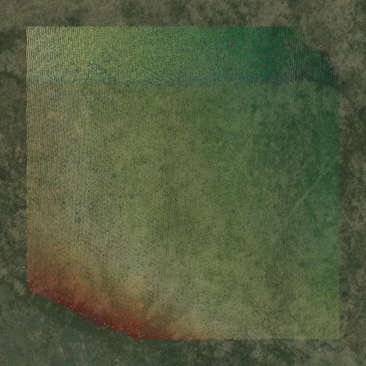 This image shows a LiDAR point cloud in Dallam County created using GIS data in Equator.