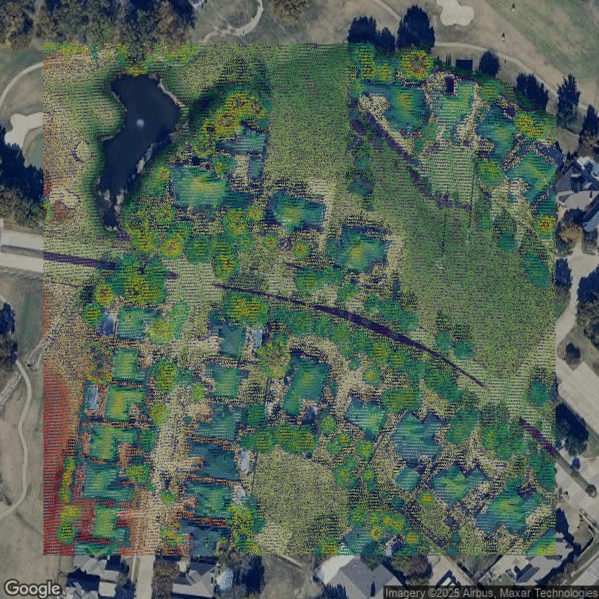 This image shows a LiDAR point cloud in Dallas County created using GIS data in Equator.
