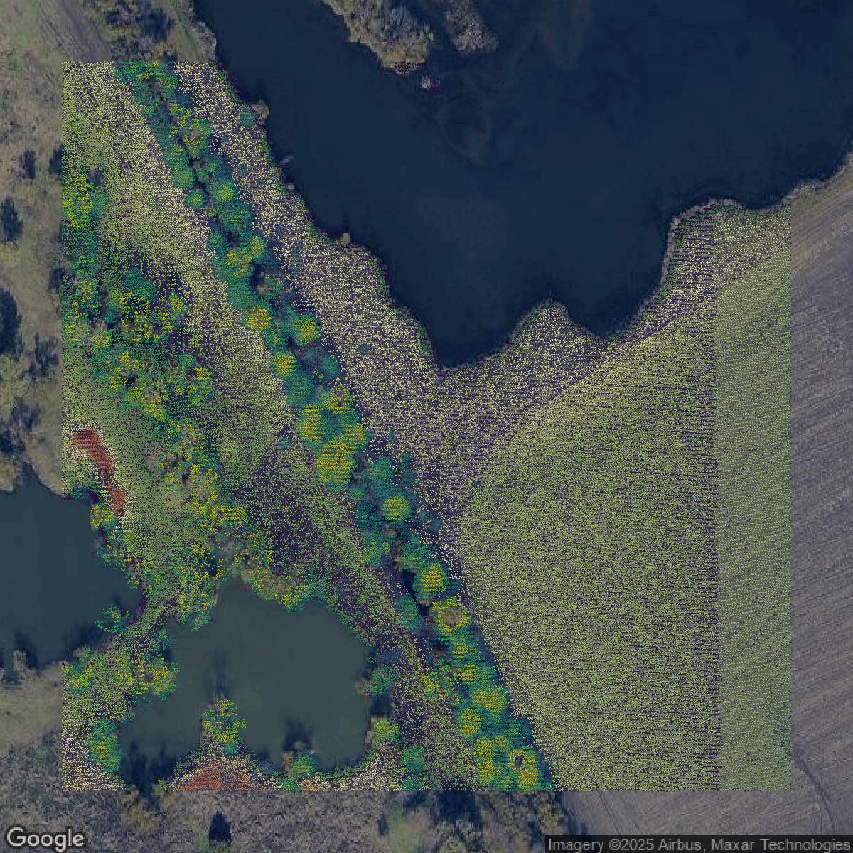 This image shows a LiDAR point cloud in Dallas County created using GIS data in Equator.