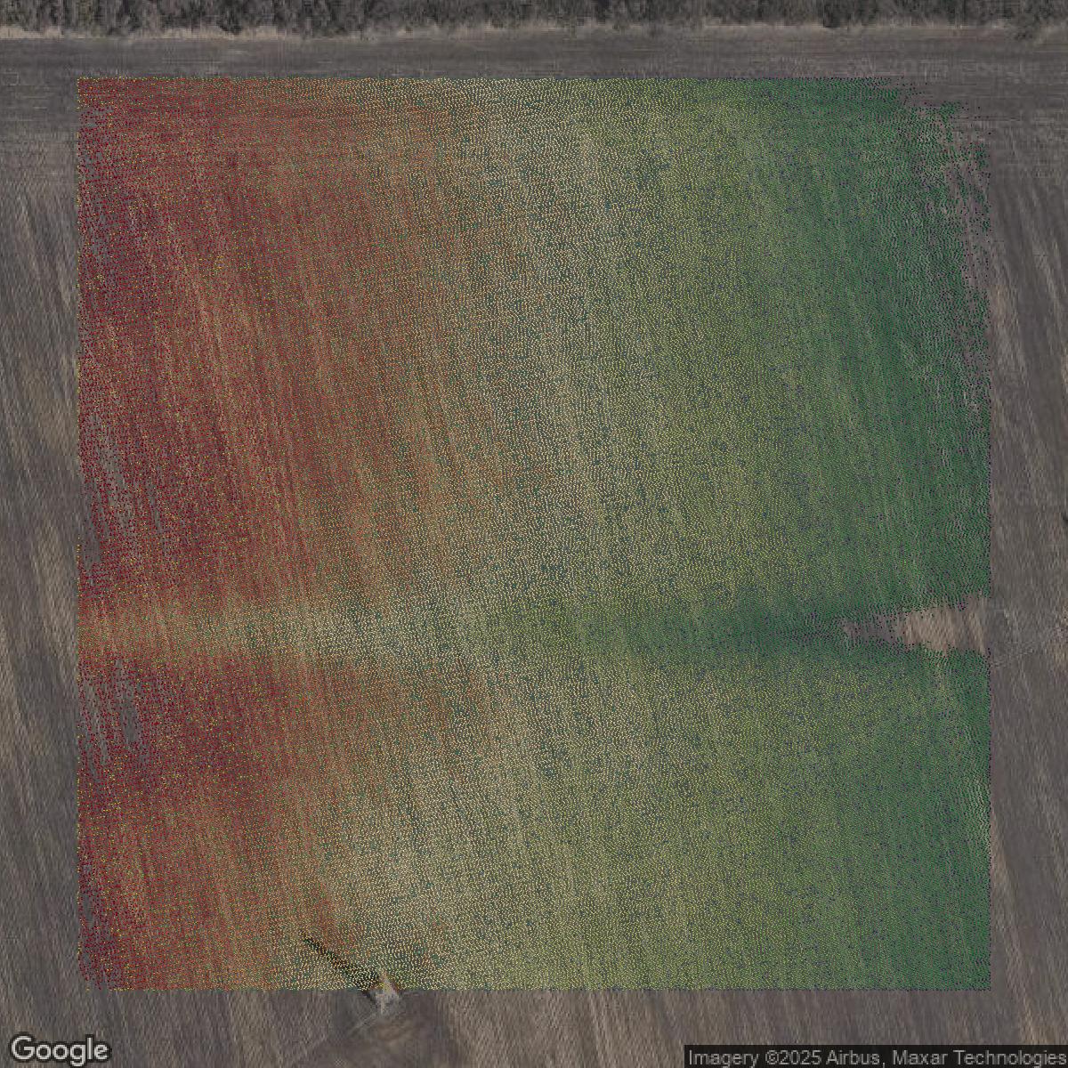 This image shows a LiDAR point cloud in Dallas County created using GIS data in Equator.