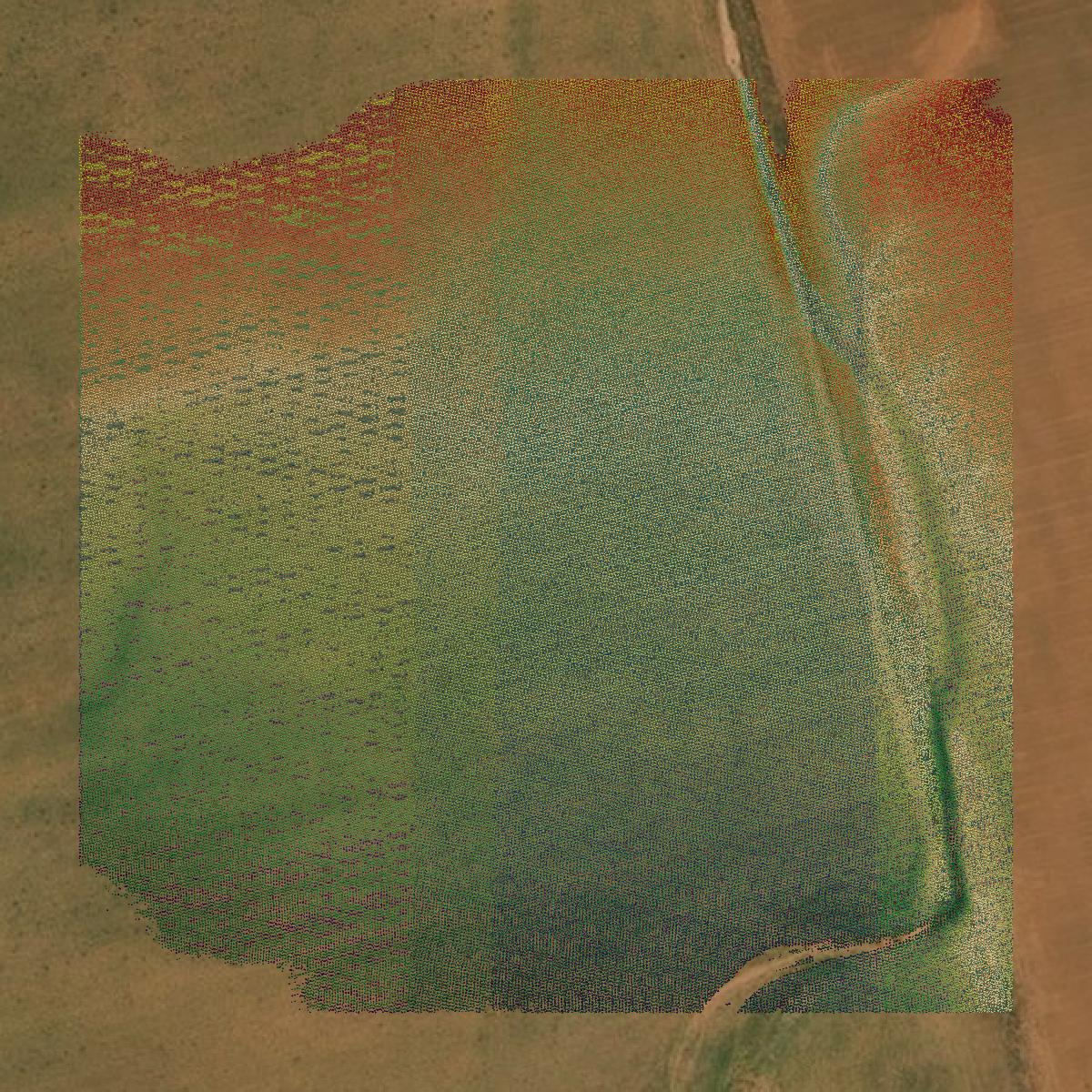 This image shows a LiDAR point cloud in Dawson County created using GIS data in Equator.