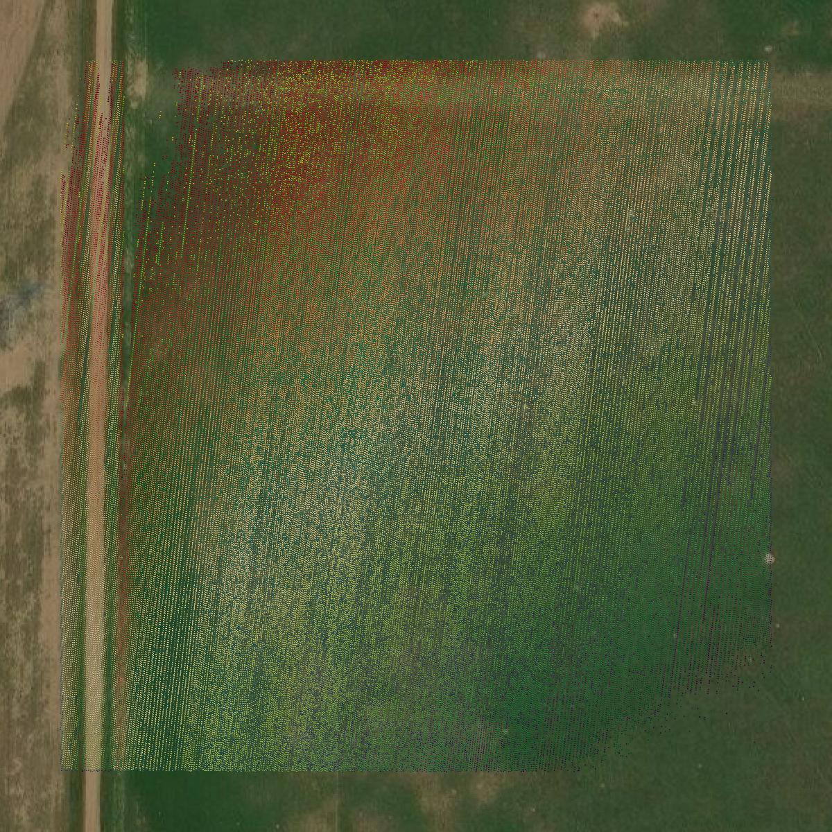 This image shows a LiDAR point cloud in Deaf Smith County created using GIS data in Equator.