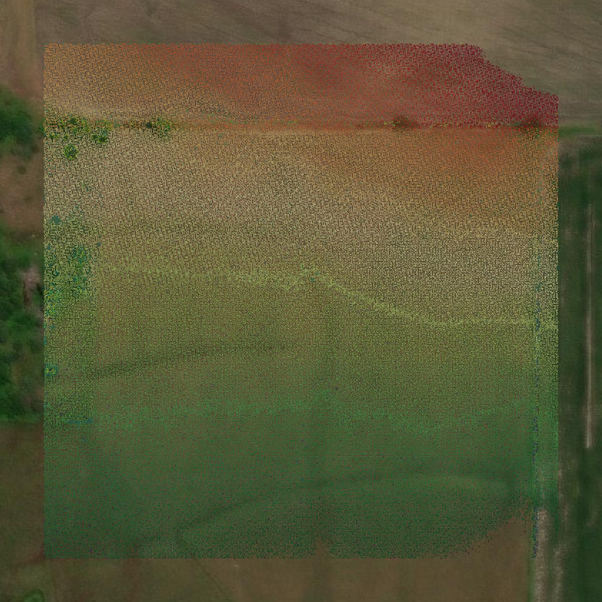 This image shows a LiDAR point cloud in Delta County created using GIS data in Equator.