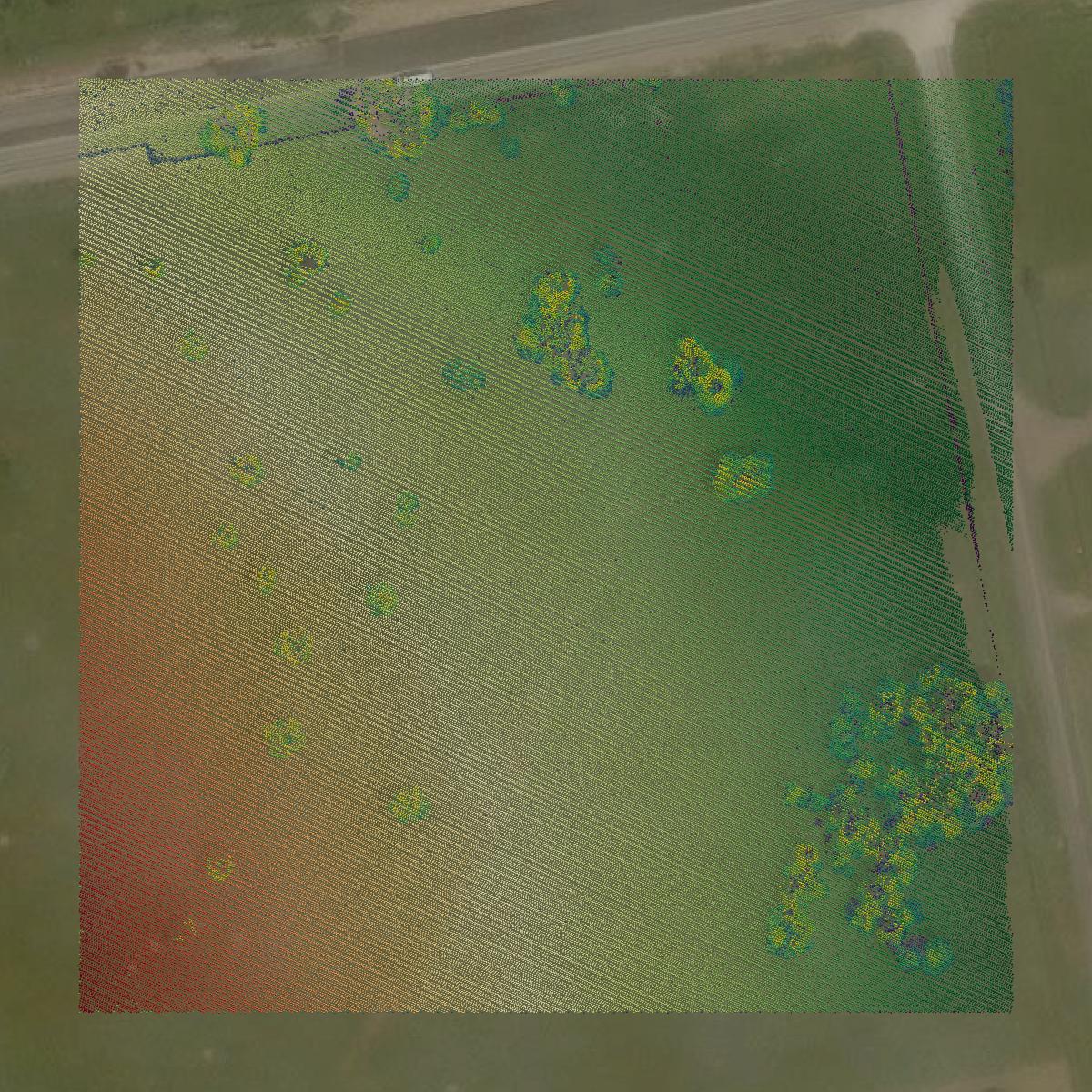 This image shows a LiDAR point cloud in DeWitt County created using GIS data in Equator.