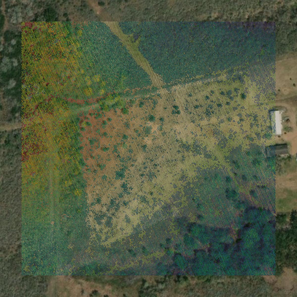 This image shows a LiDAR point cloud in DeWitt County created using GIS data in Equator.