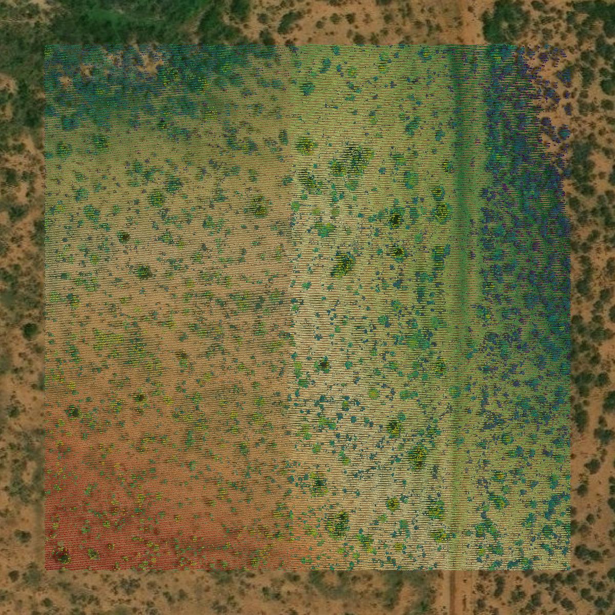 This image shows a LiDAR point cloud in Dimmit County created using GIS data in Equator.