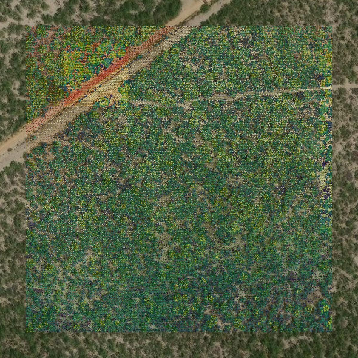 This image shows a LiDAR point cloud in Dimmit County created using GIS data in Equator.