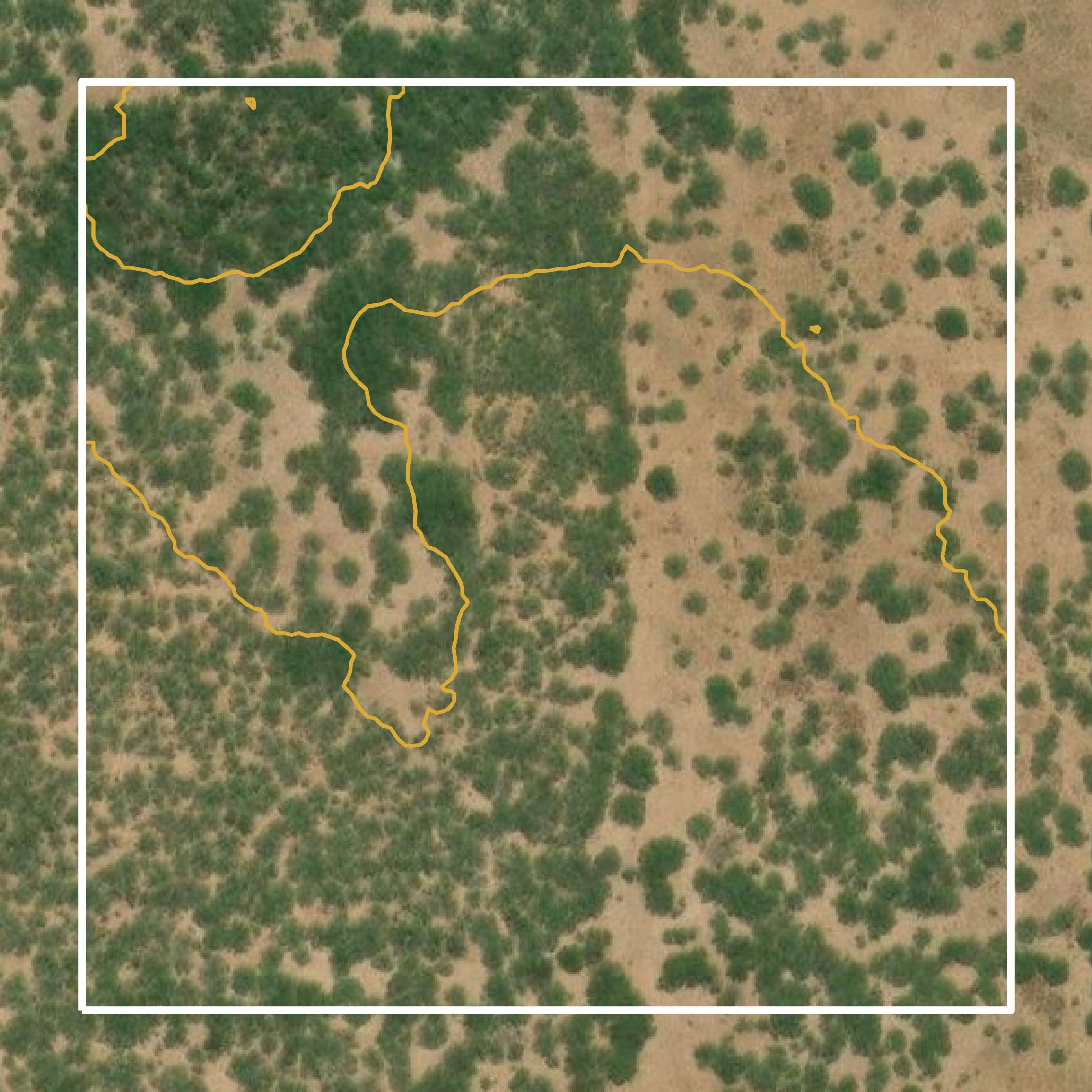 This image shows a contour map in Duval County created using GIS data in Equator.