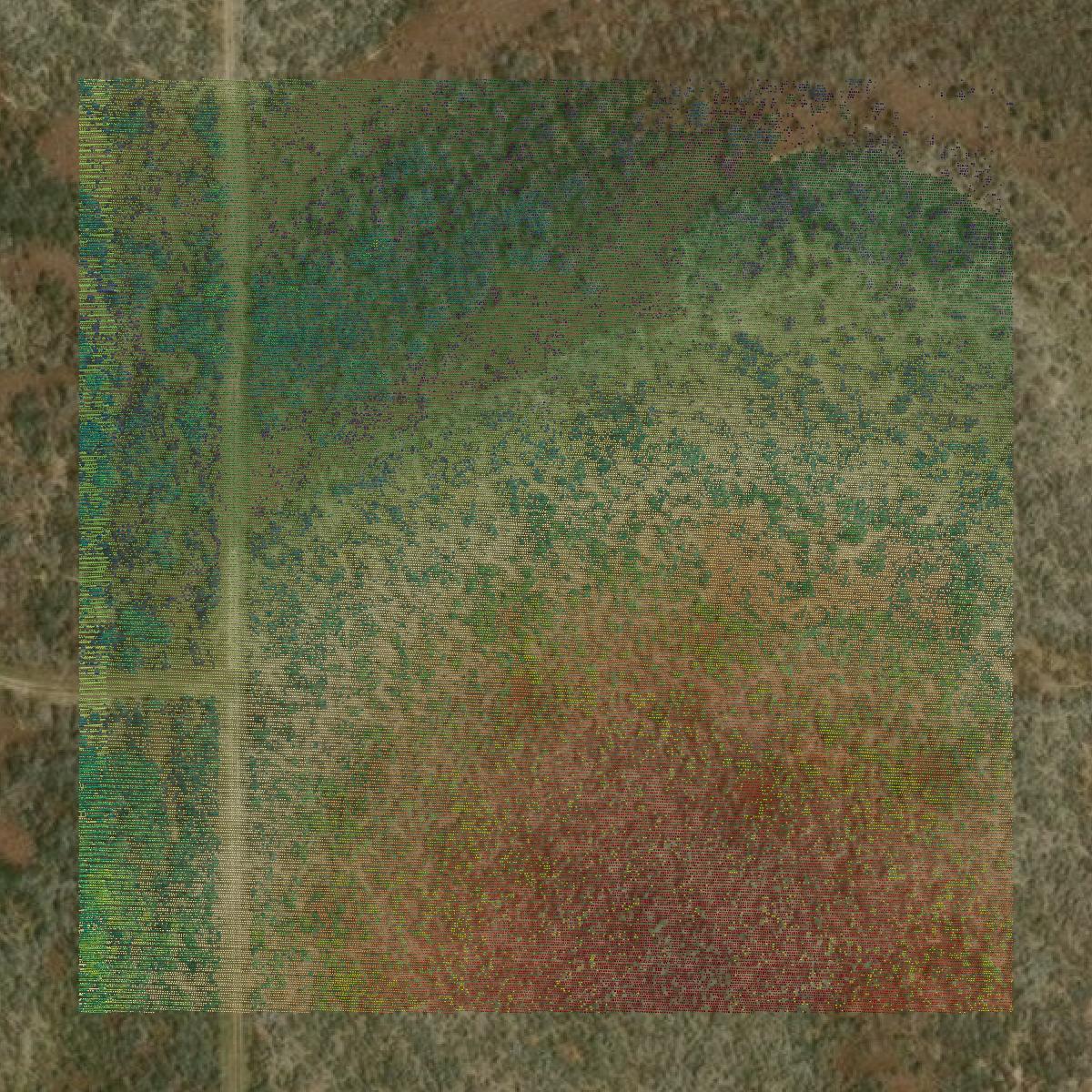 This image shows a LiDAR point cloud in Duval County created using GIS data in Equator.