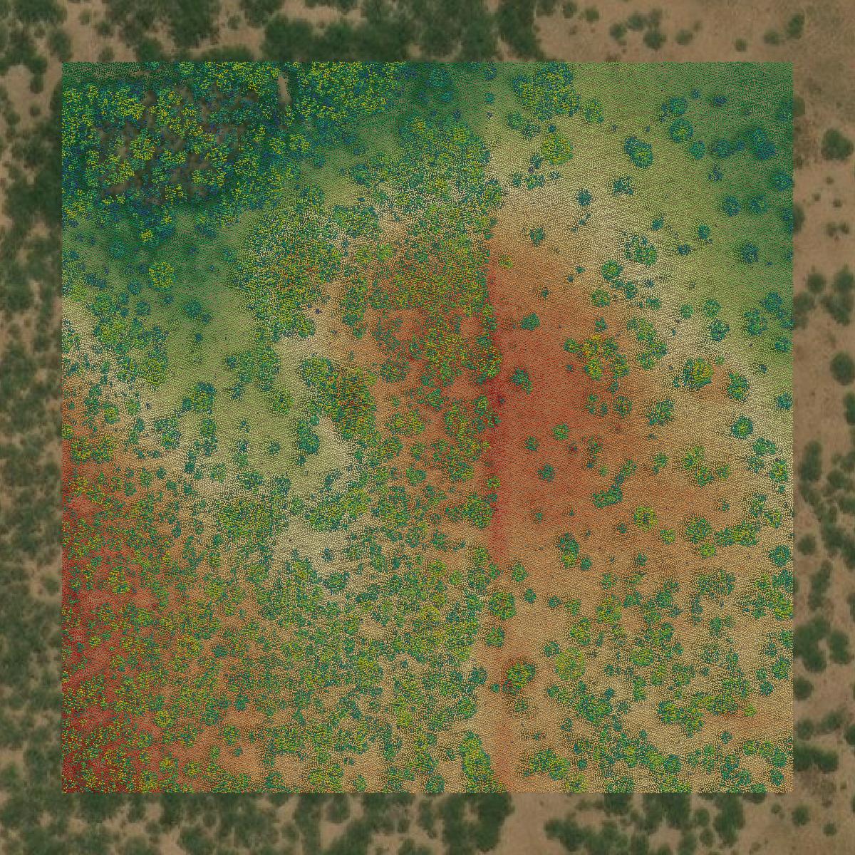 This image shows a LiDAR point cloud in Duval County created using GIS data in Equator.