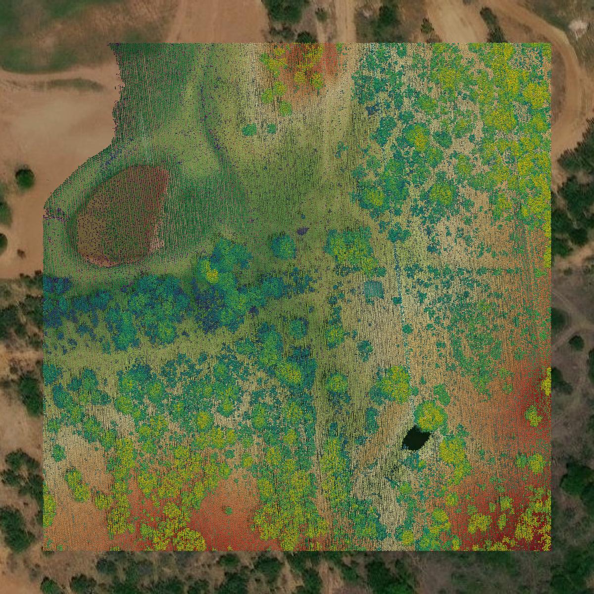 This image shows a LiDAR point cloud in Eastland County created using GIS data in Equator.