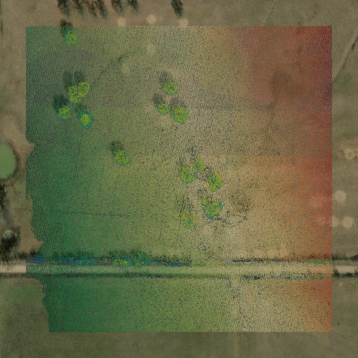 This image shows a LiDAR point cloud in Eastland County created using GIS data in Equator.