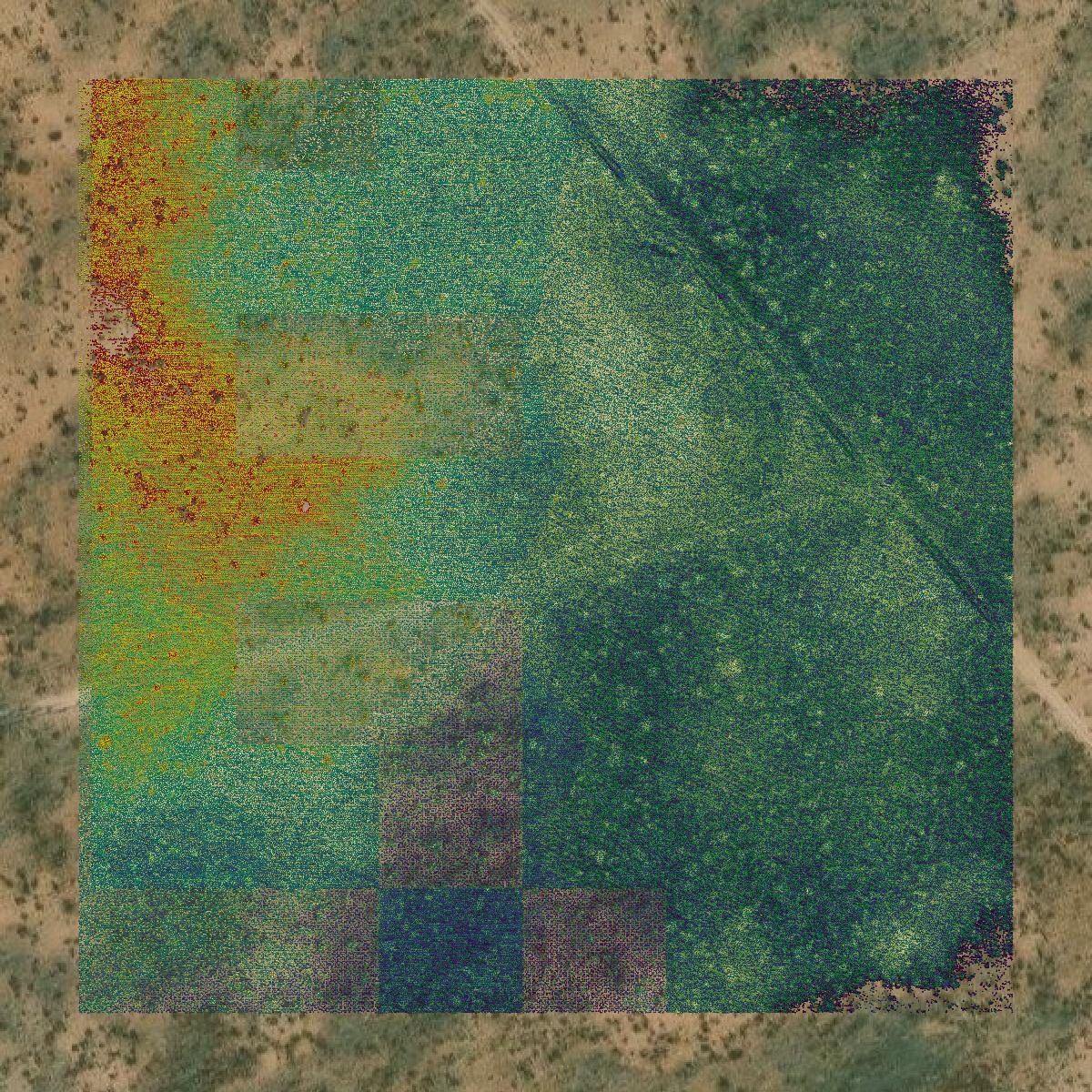 This image shows a LiDAR point cloud in Ector County created using GIS data in Equator.