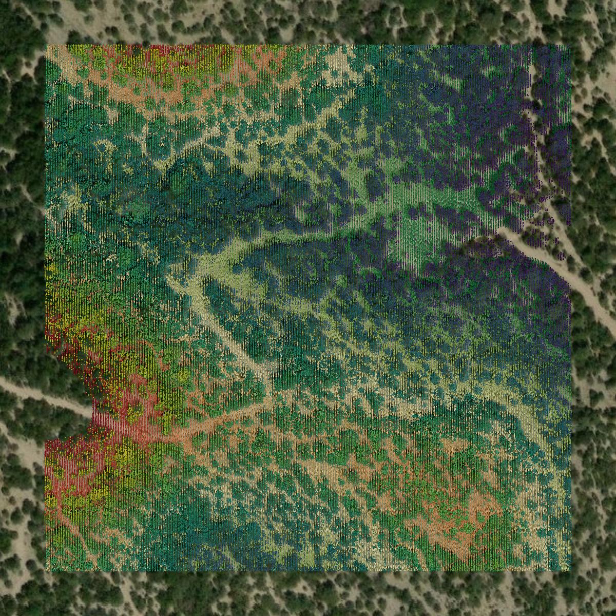 This image shows a LiDAR point cloud in Edwards County created using GIS data in Equator.