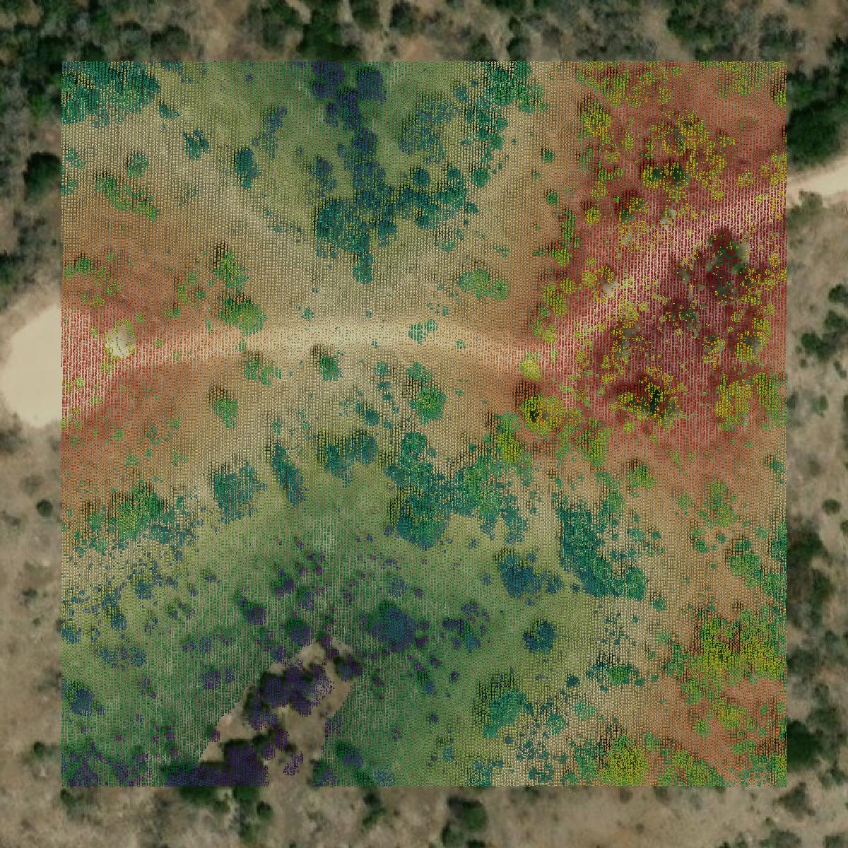 This image shows a LiDAR point cloud in Edwards County created using GIS data in Equator.