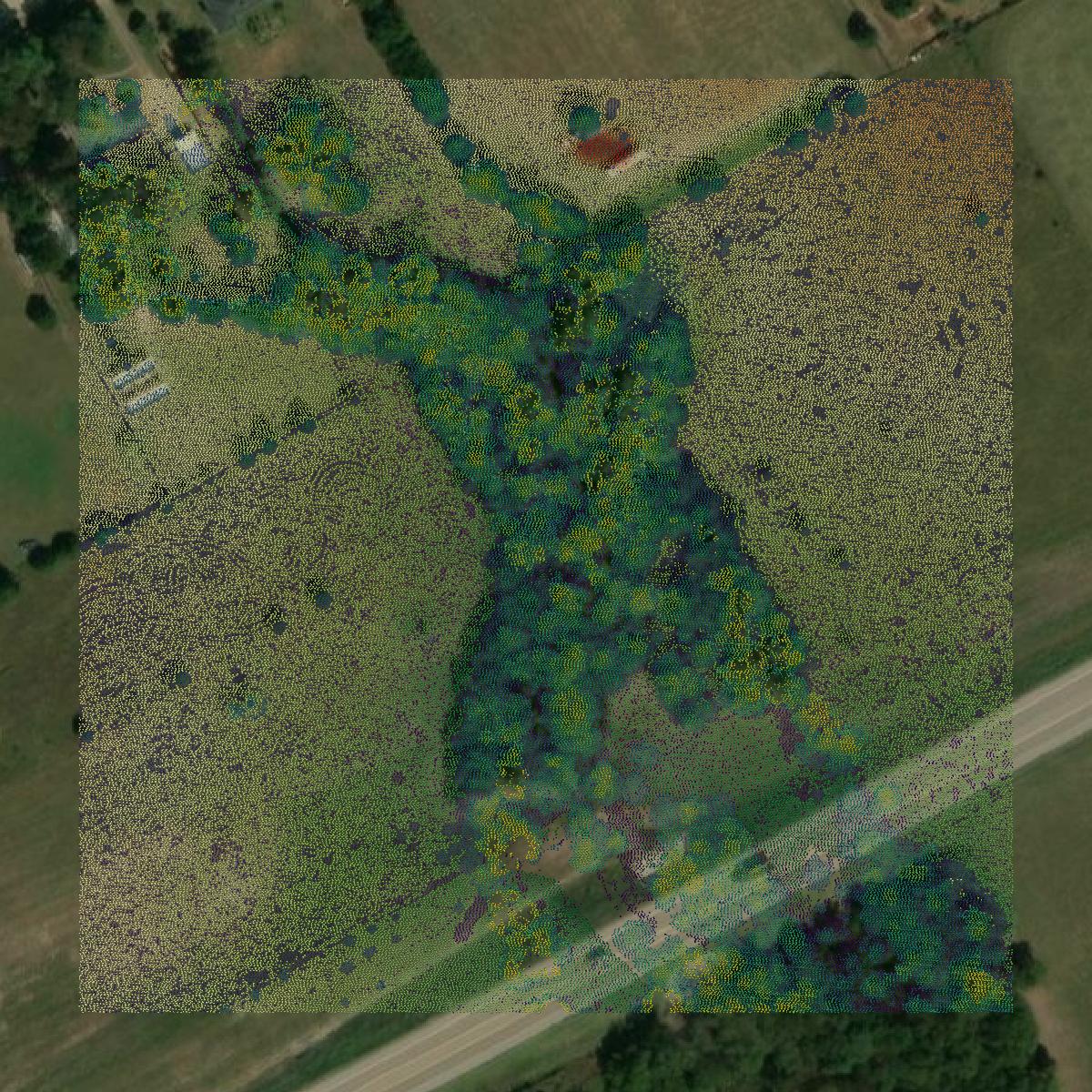 This image shows a LiDAR point cloud in Ellis County created using GIS data in Equator.