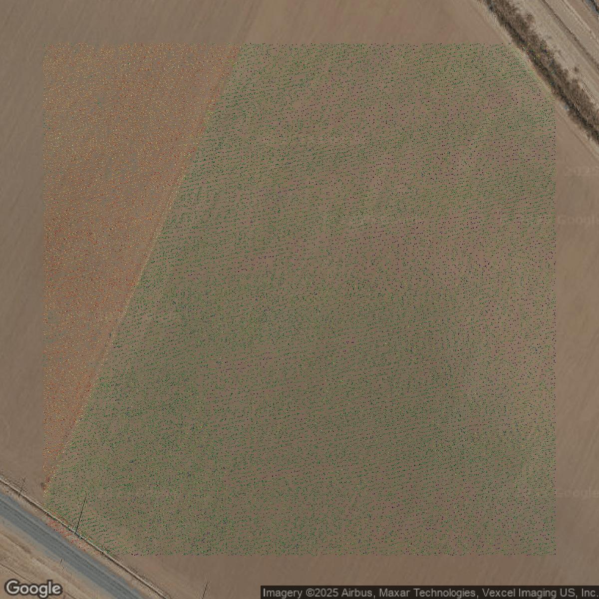 This image shows a LiDAR point cloud in El Paso County created using GIS data in Equator.