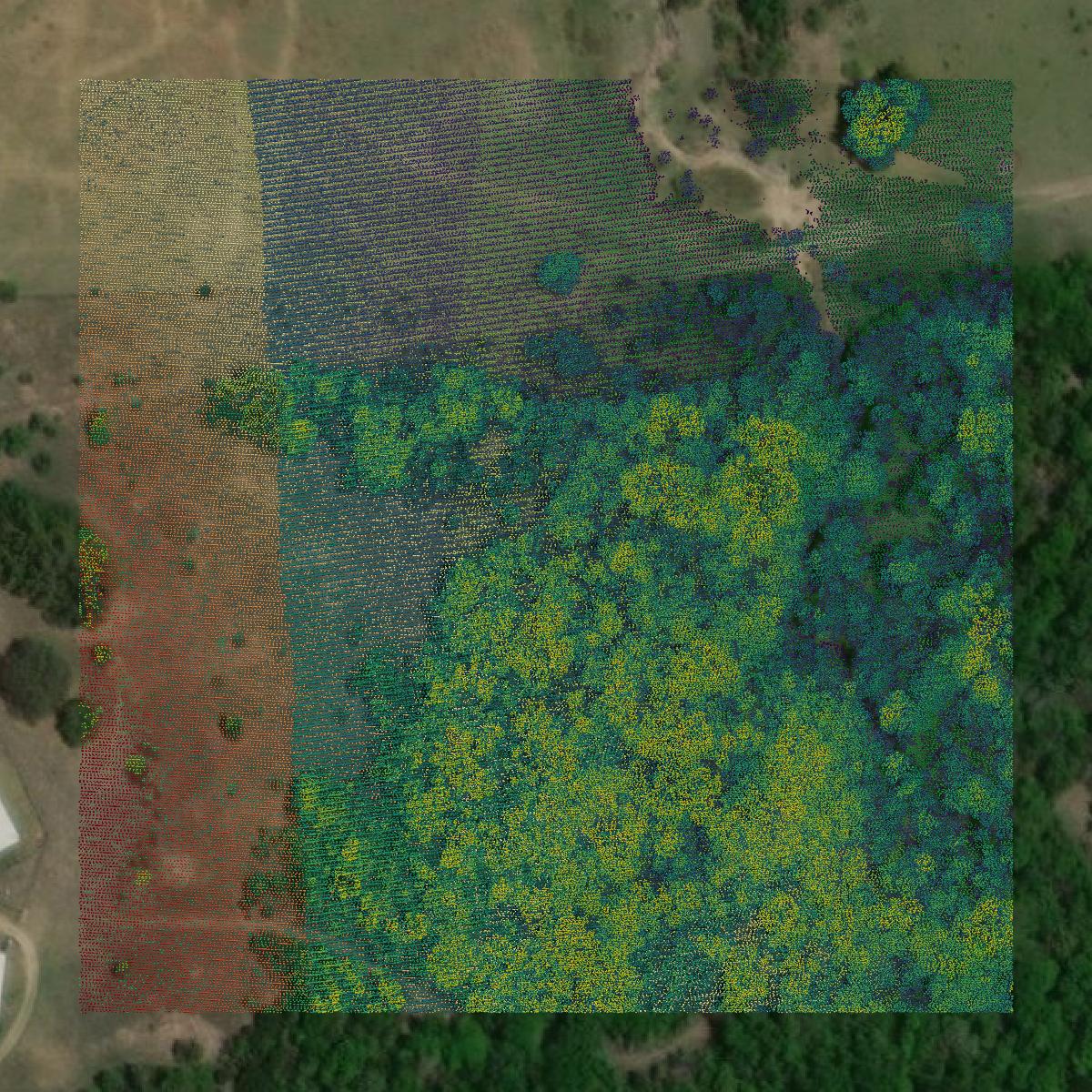 This image shows a LiDAR point cloud in Erath County created using GIS data in Equator.