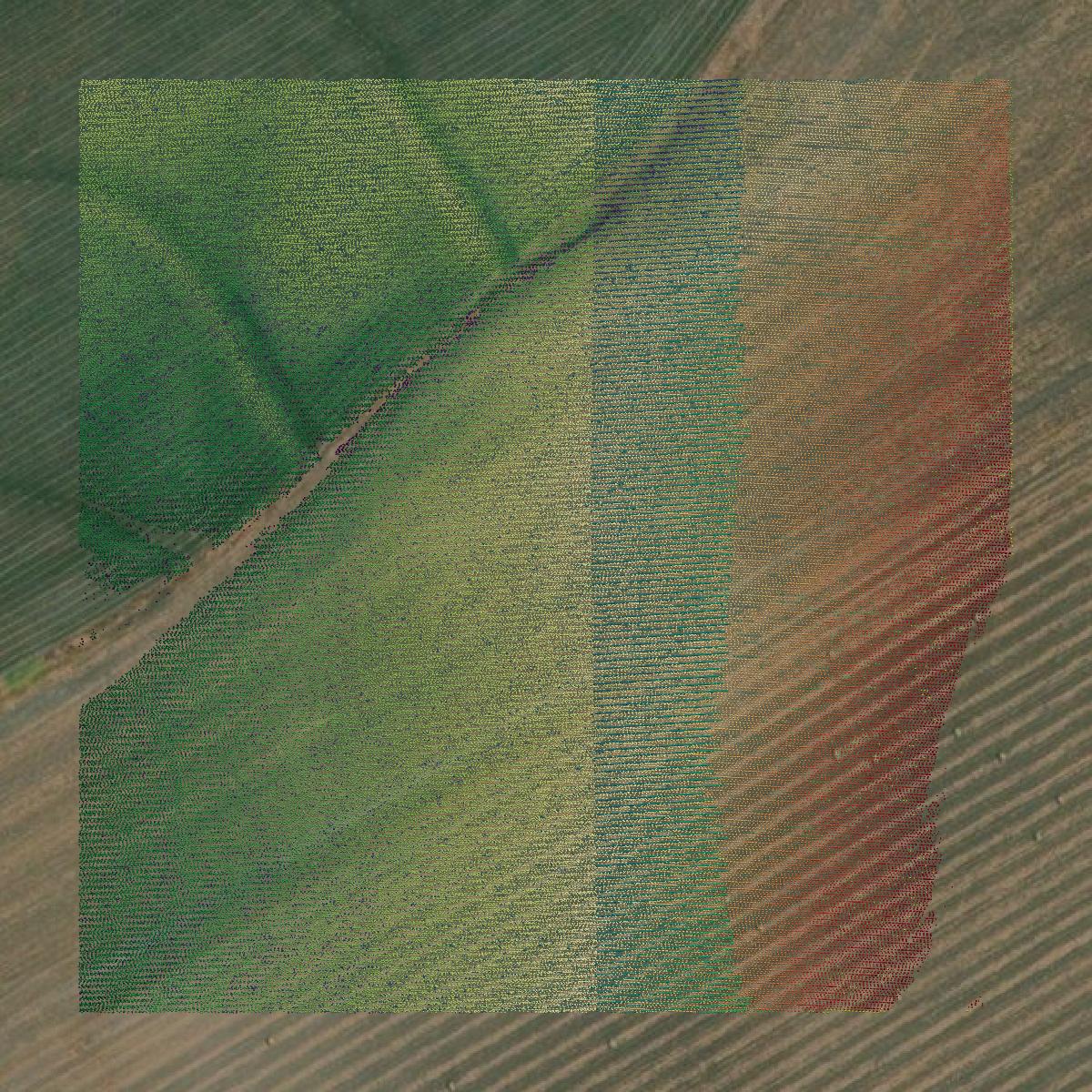 This image shows a LiDAR point cloud in Falls County created using GIS data in Equator.