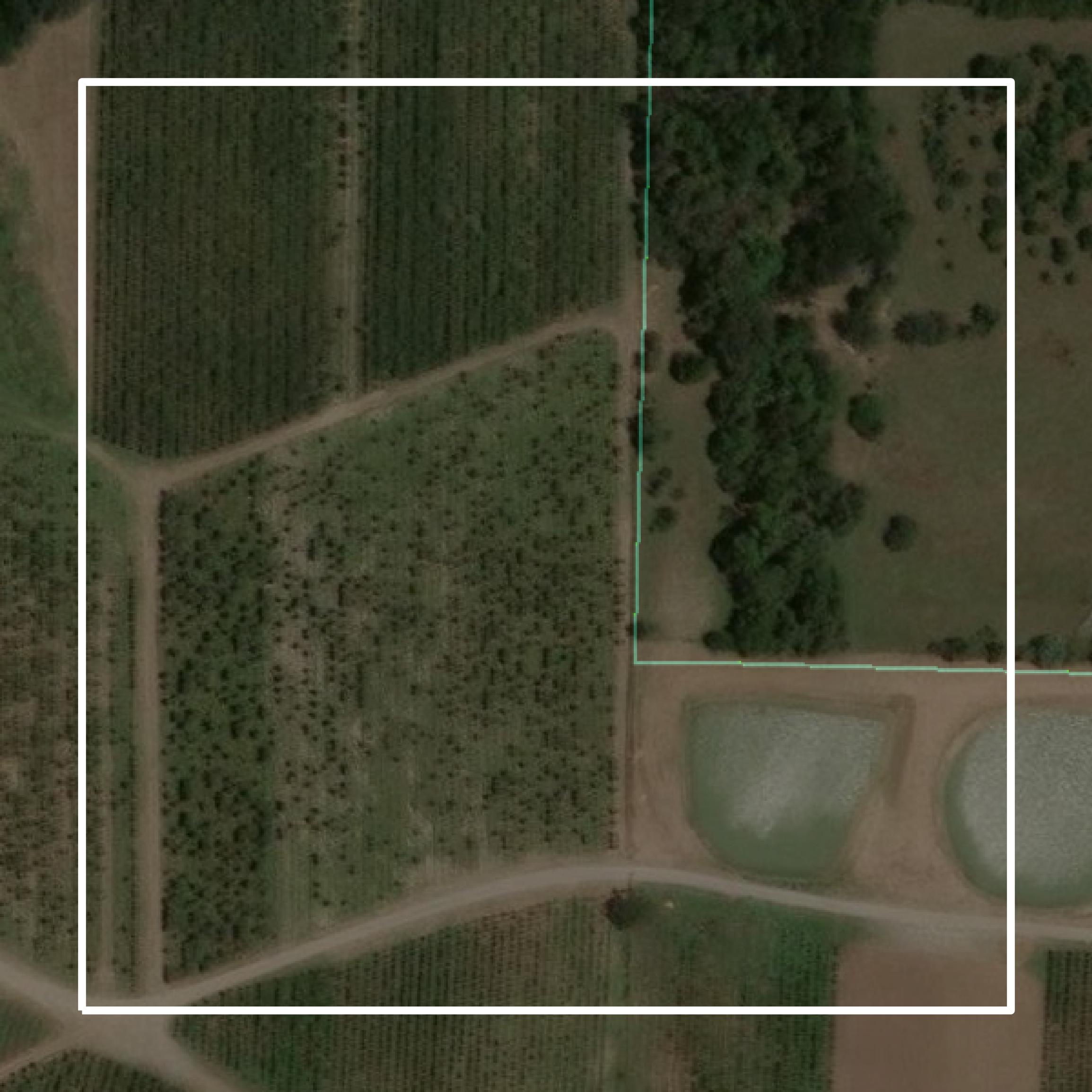 This image shows parcel and building data in Fannin County created using GIS data in Equator.