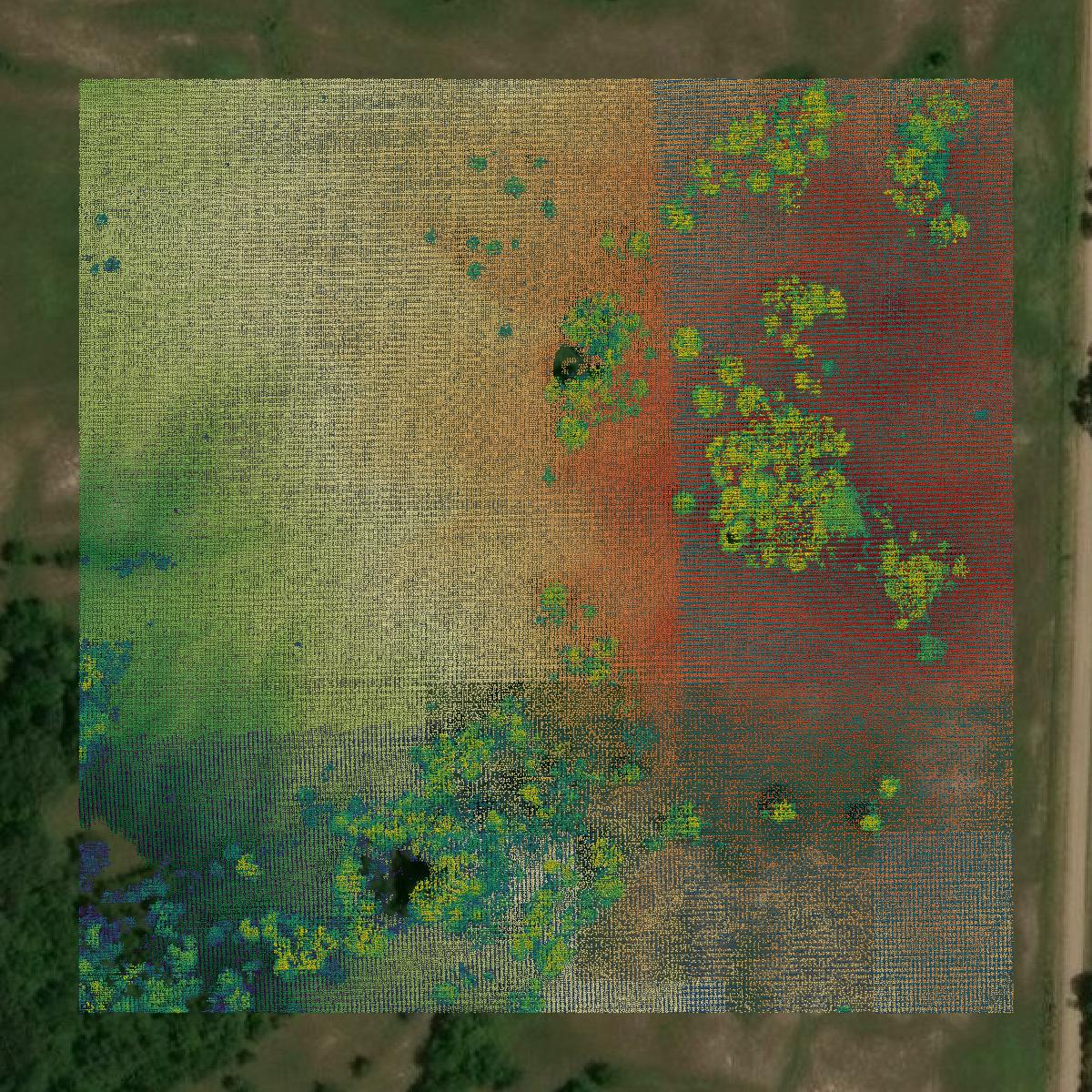 This image shows a LiDAR point cloud in Fannin County created using GIS data in Equator.