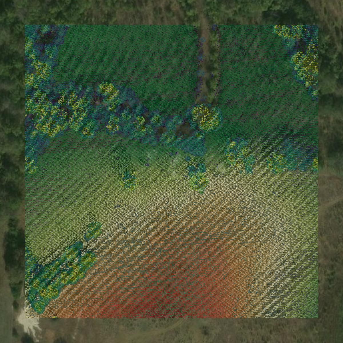 This image shows a LiDAR point cloud in Fannin County created using GIS data in Equator.