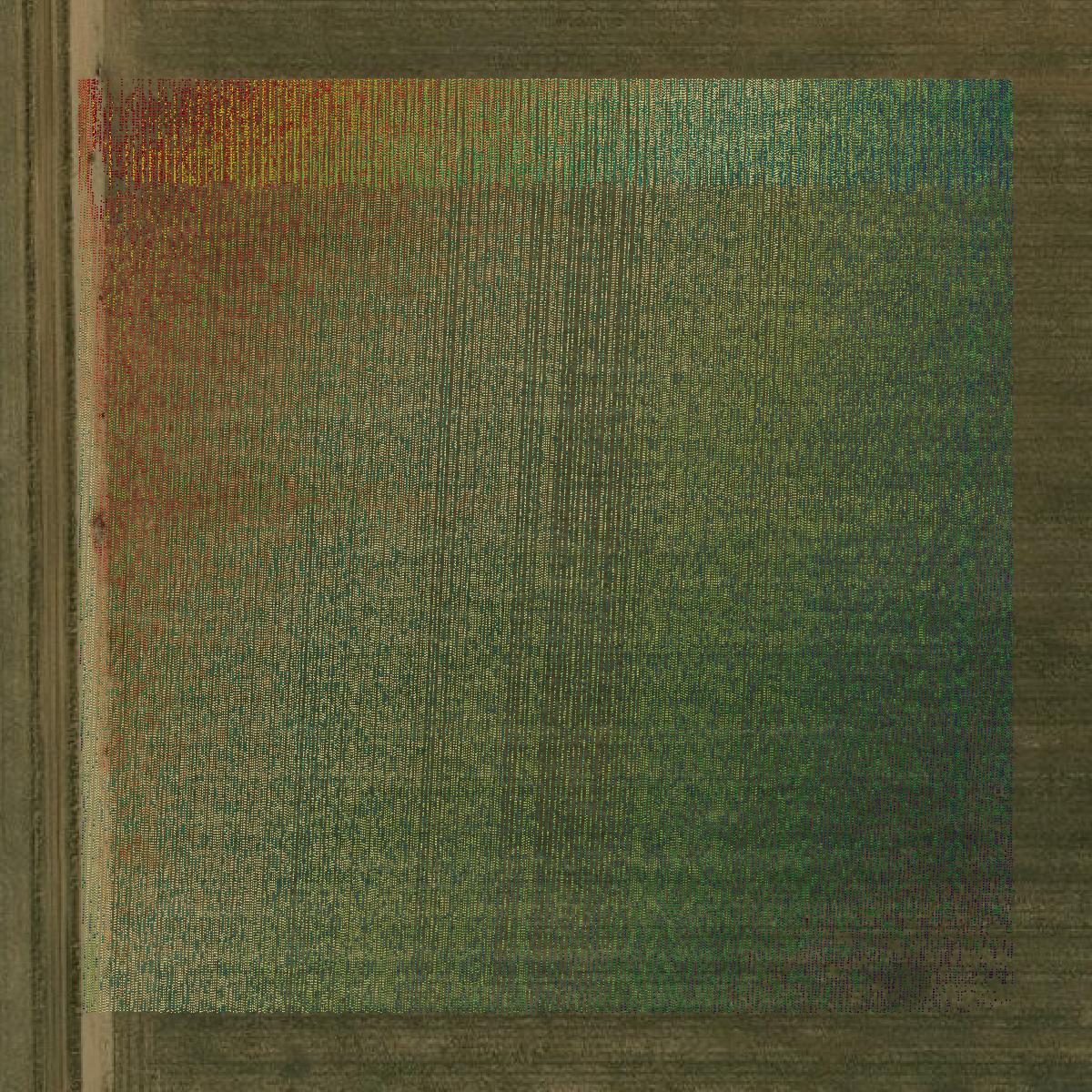 This image shows a LiDAR point cloud in Floyd County created using GIS data in Equator.