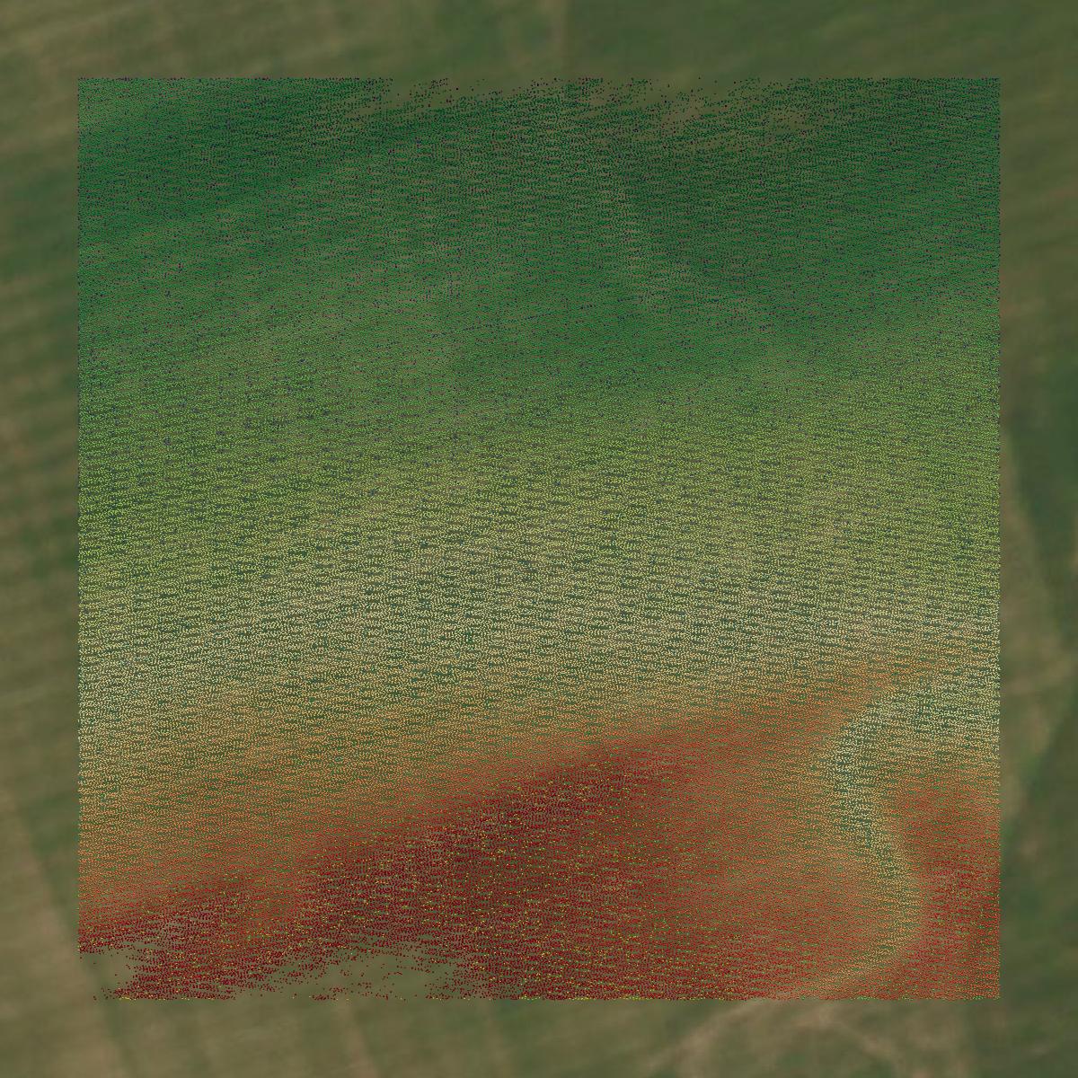 This image shows a LiDAR point cloud in Foard County created using GIS data in Equator.