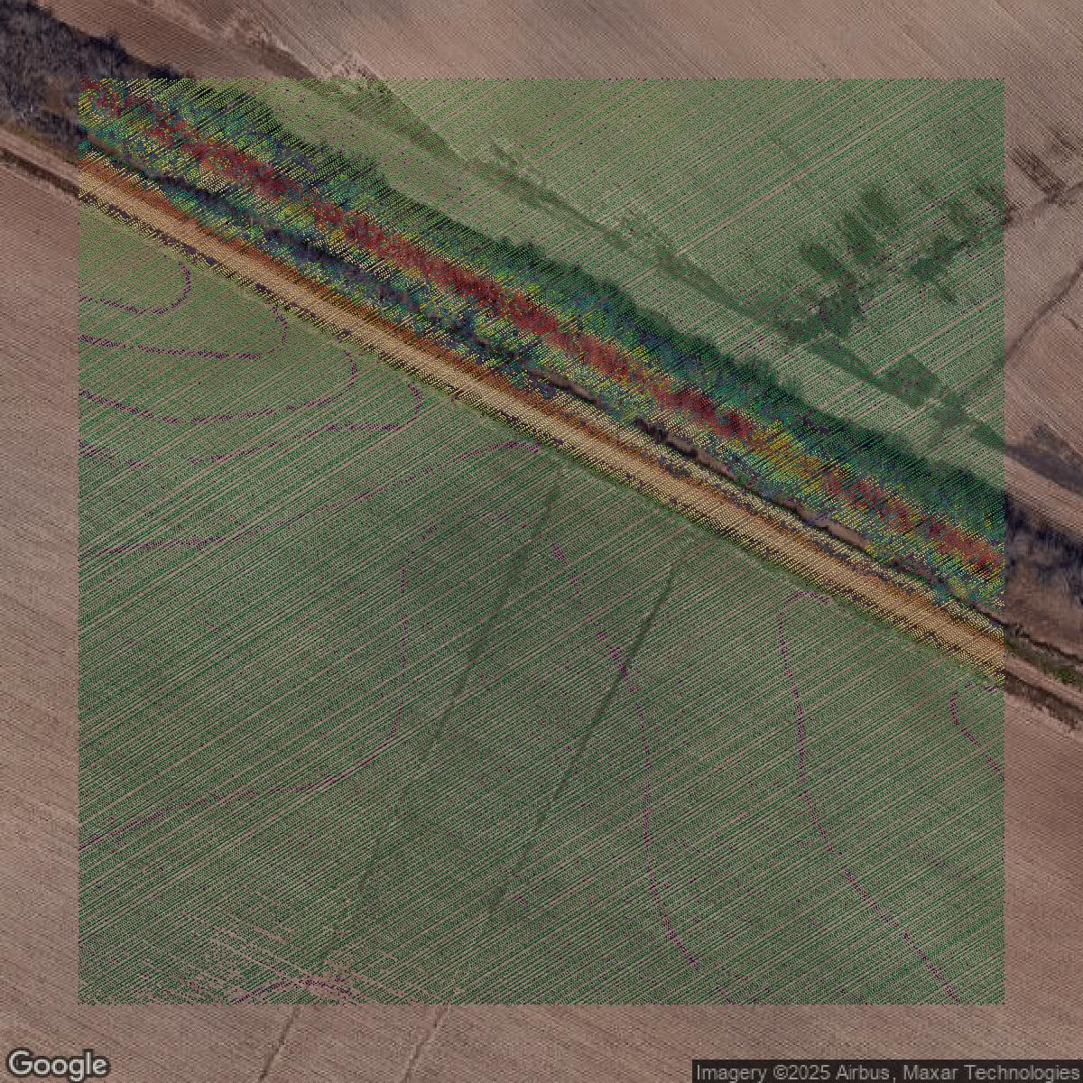 This image shows a LiDAR point cloud in Fort Bend County created using GIS data in Equator.
