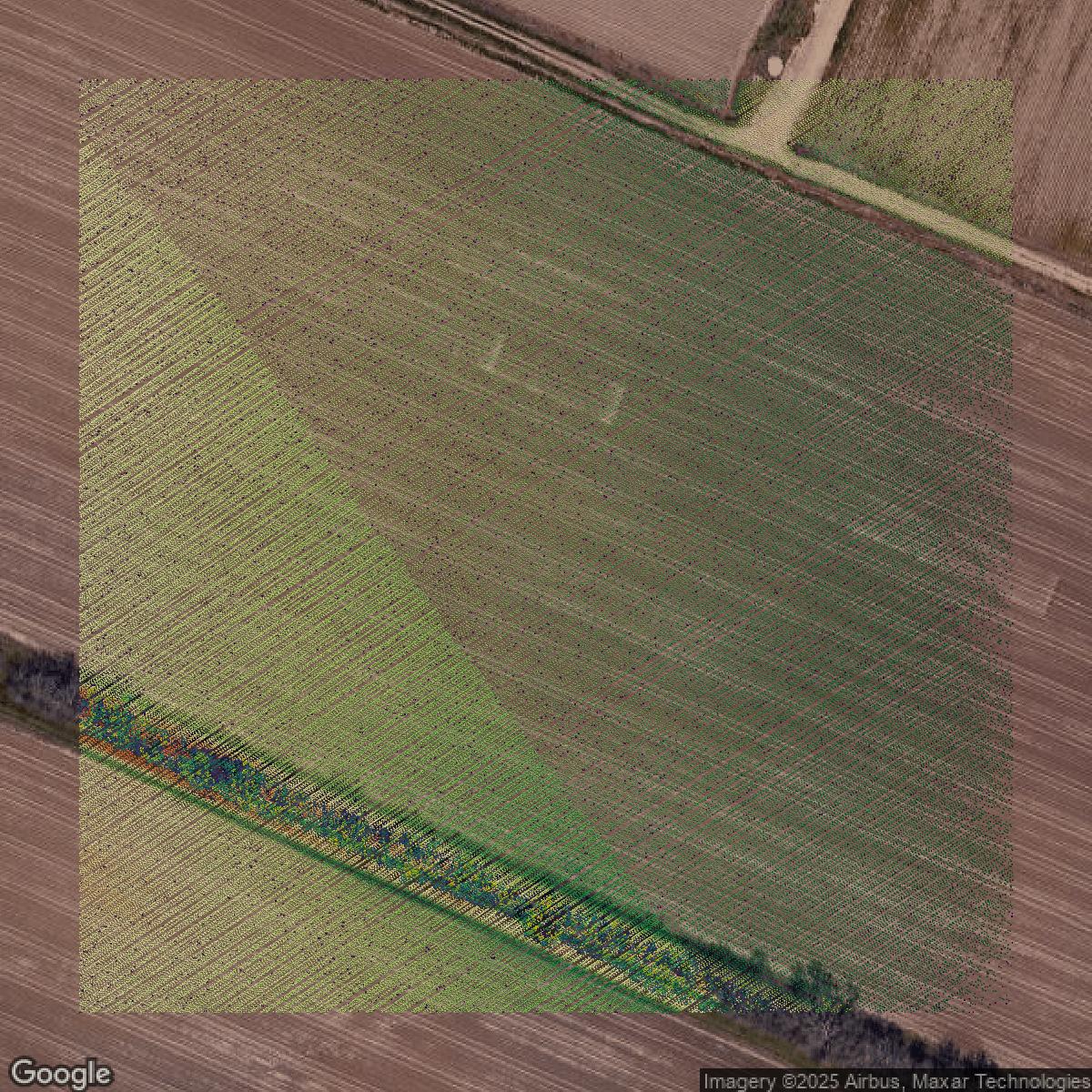 This image shows a LiDAR point cloud in Fort Bend County created using GIS data in Equator.