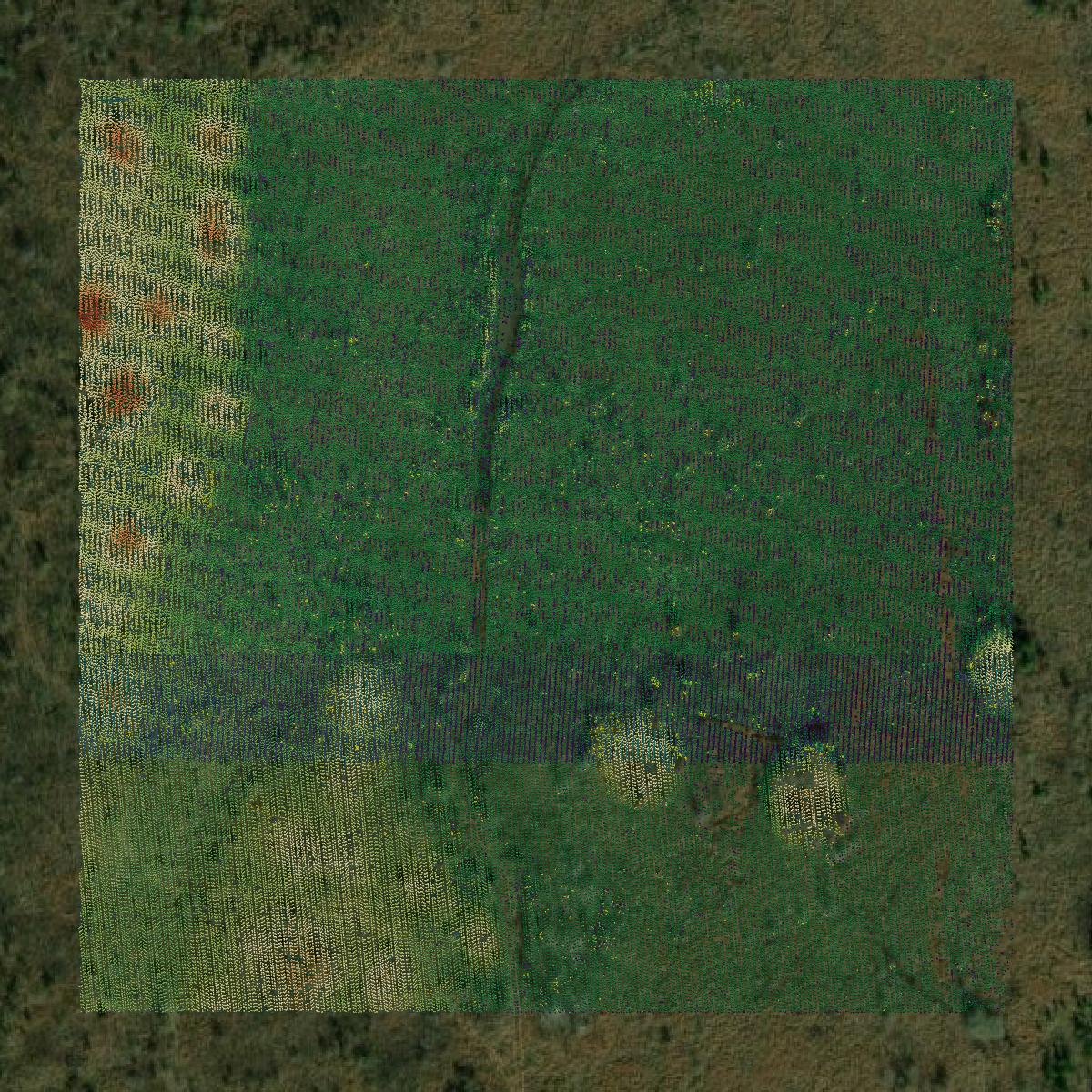 This image shows a LiDAR point cloud in Franklin County created using GIS data in Equator.