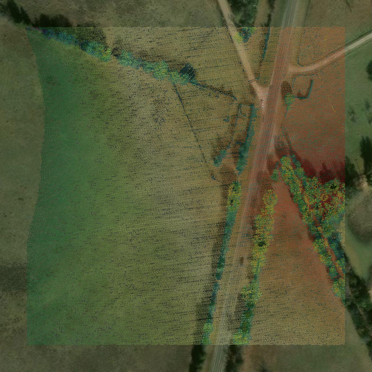 This image shows a LiDAR point cloud in Freestone County created using GIS data in Equator.