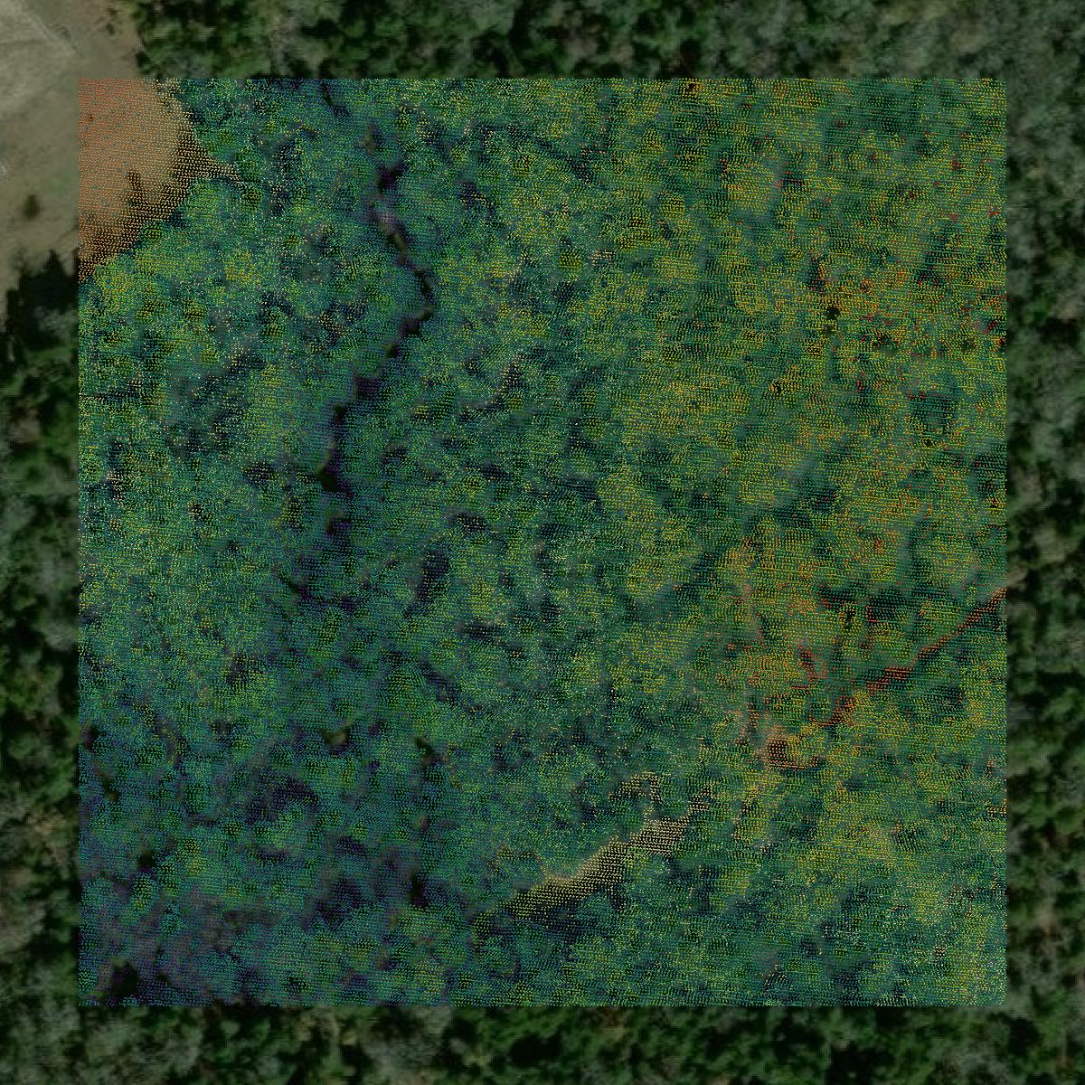 This image shows a LiDAR point cloud in Freestone County created using GIS data in Equator.