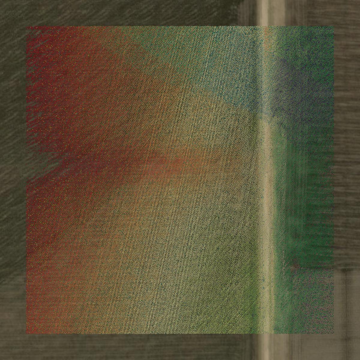 This image shows a LiDAR point cloud in Frio County created using GIS data in Equator.