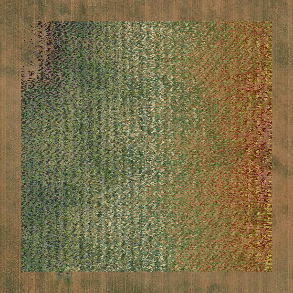 This image shows a LiDAR point cloud in Gaines County created using GIS data in Equator.