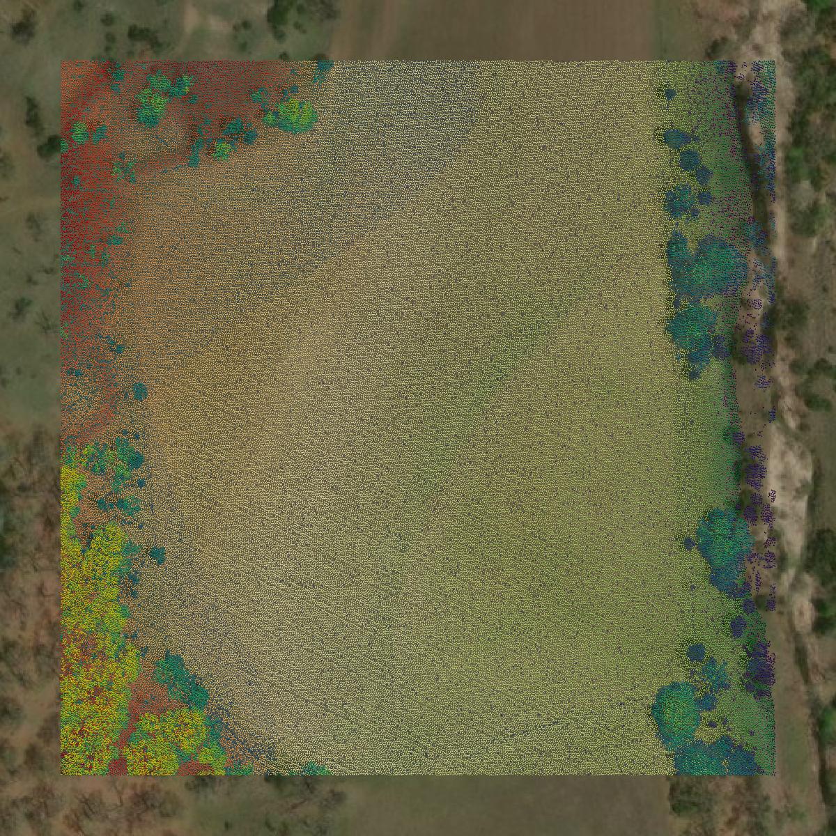 This image shows a LiDAR point cloud in Gillespie County created using GIS data in Equator.