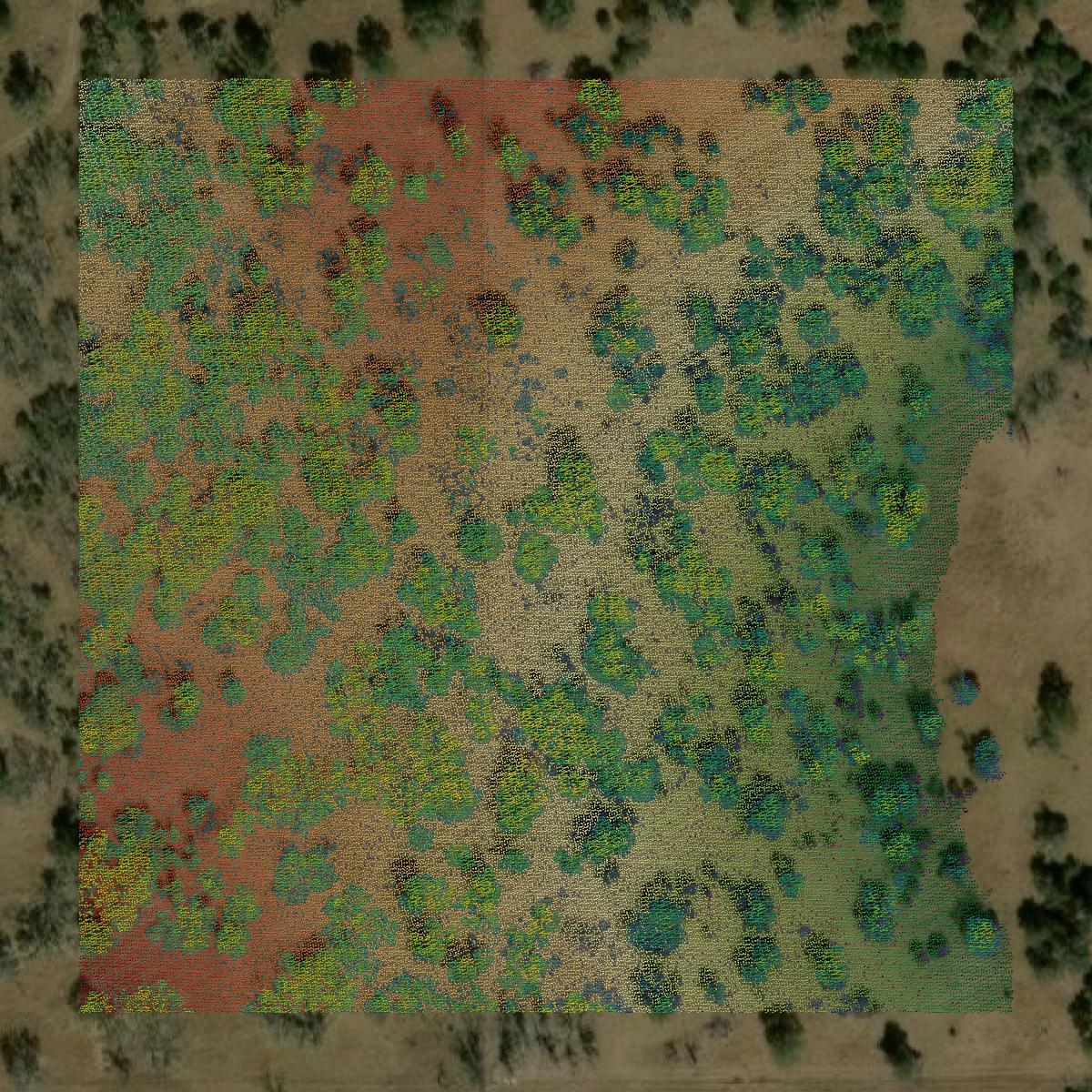 This image shows a LiDAR point cloud in Gillespie County created using GIS data in Equator.