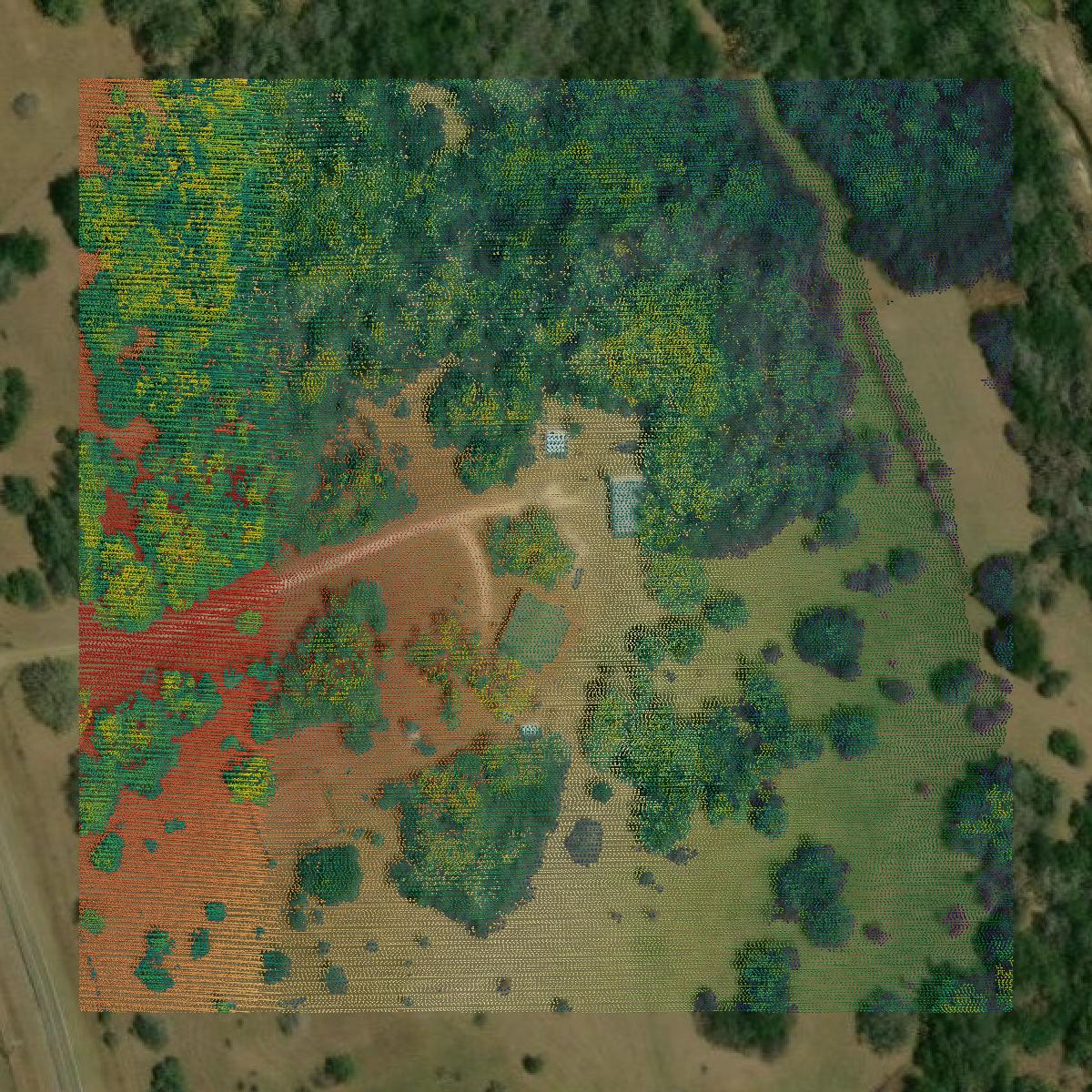 This image shows a LiDAR point cloud in Goliad County created using GIS data in Equator.