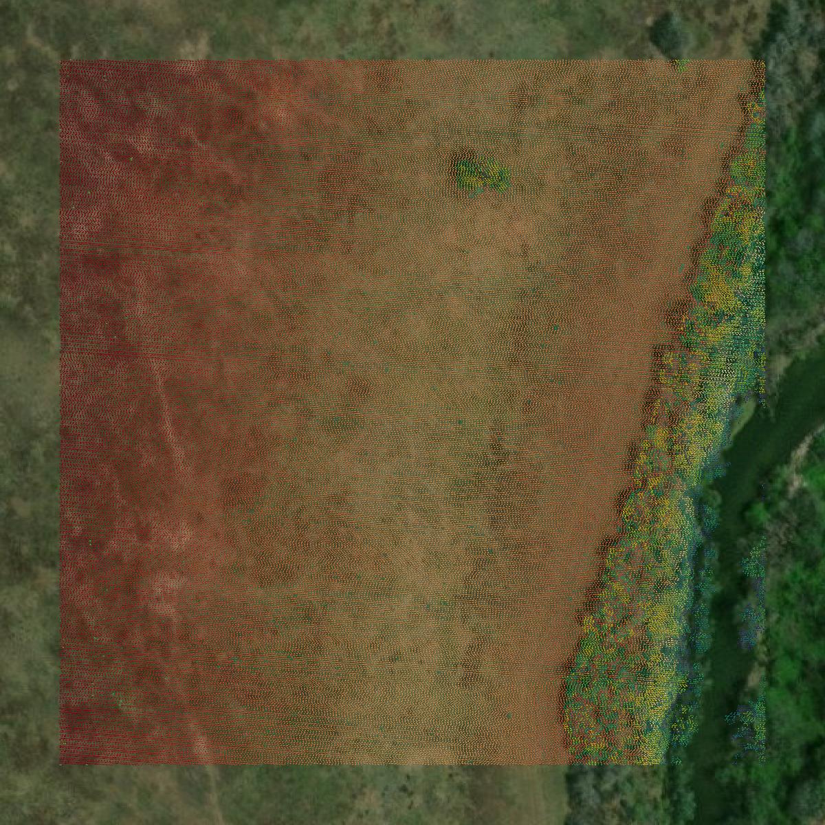 This image shows a LiDAR point cloud in Goliad County created using GIS data in Equator.