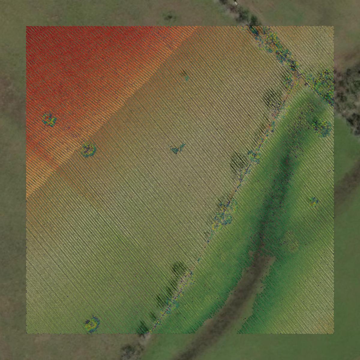 This image shows a LiDAR point cloud in Gonzales County created using GIS data in Equator.